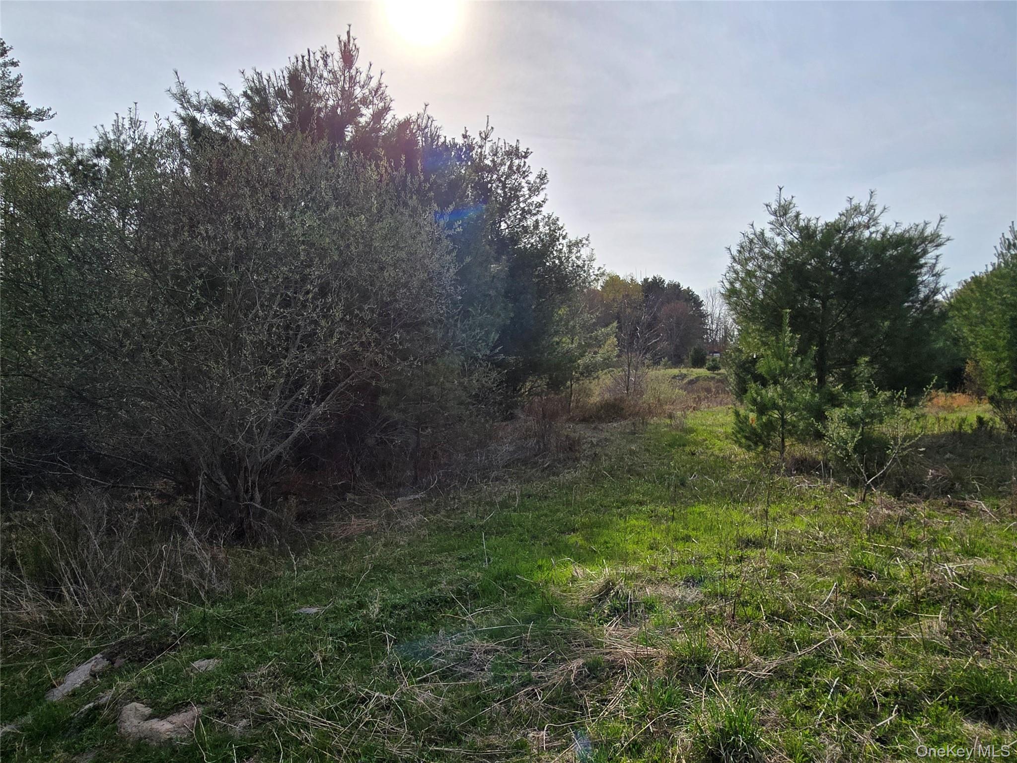 #TBD NYS Route 17B – For Sale photo 25