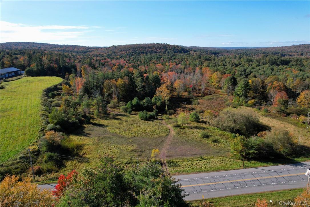 #TBD NYS Route 17B – For Sale photo 2