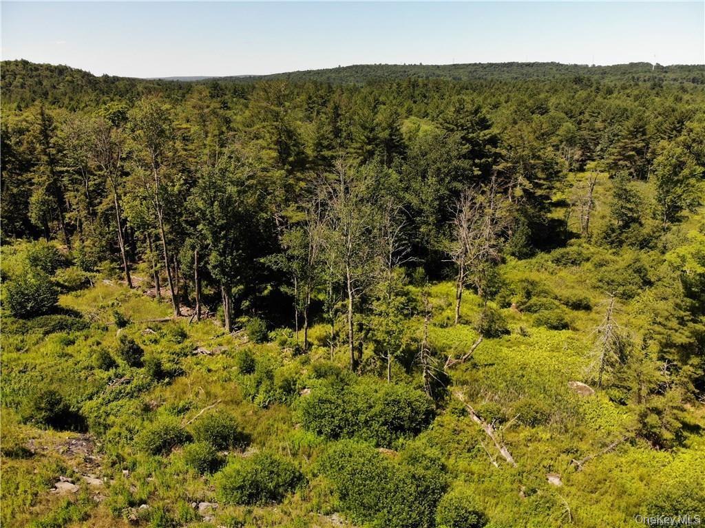 #TBD NYS Route 17B – For Sale photo 14