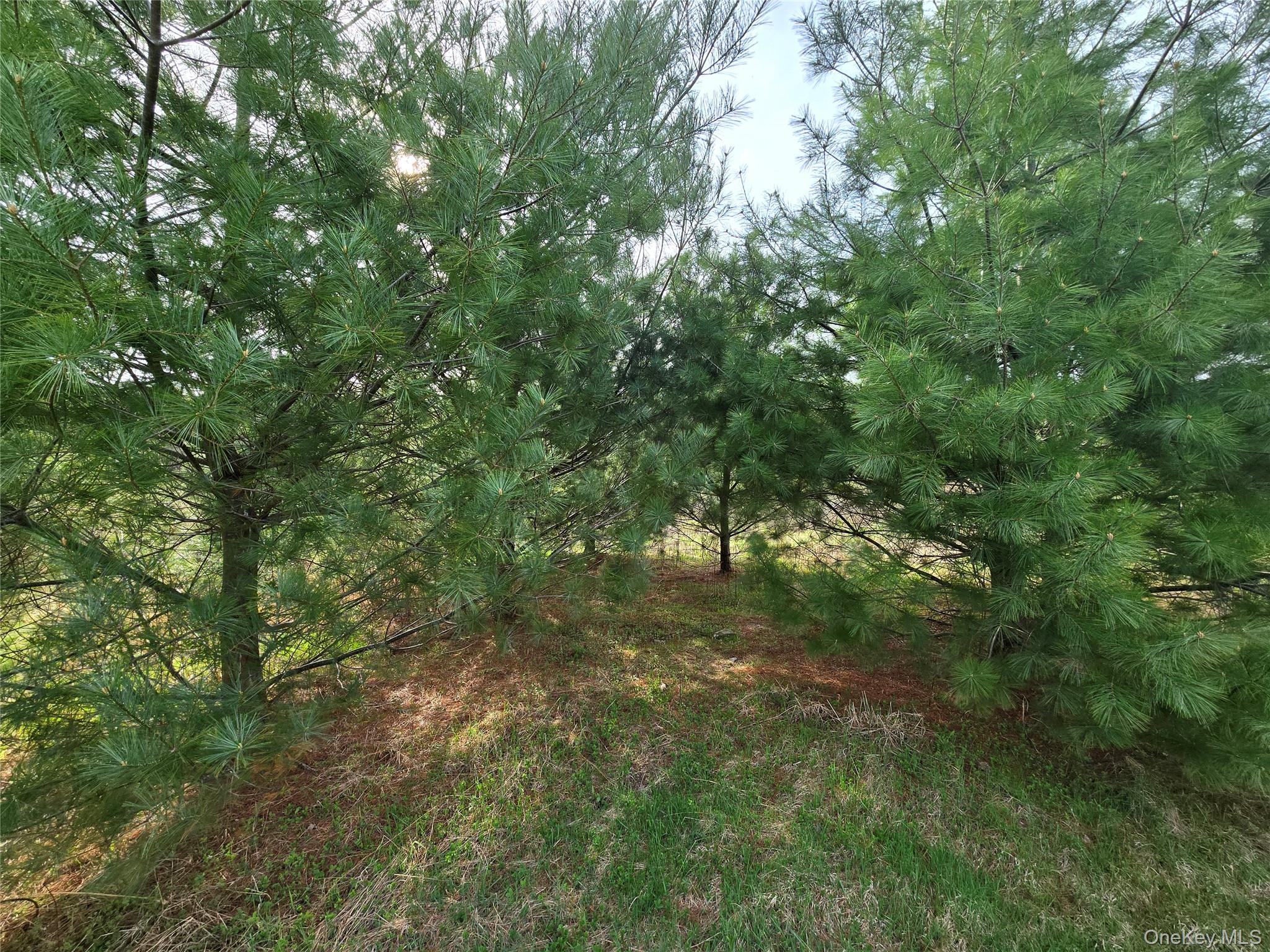 #TBD NYS Route 17B – For Sale photo 9