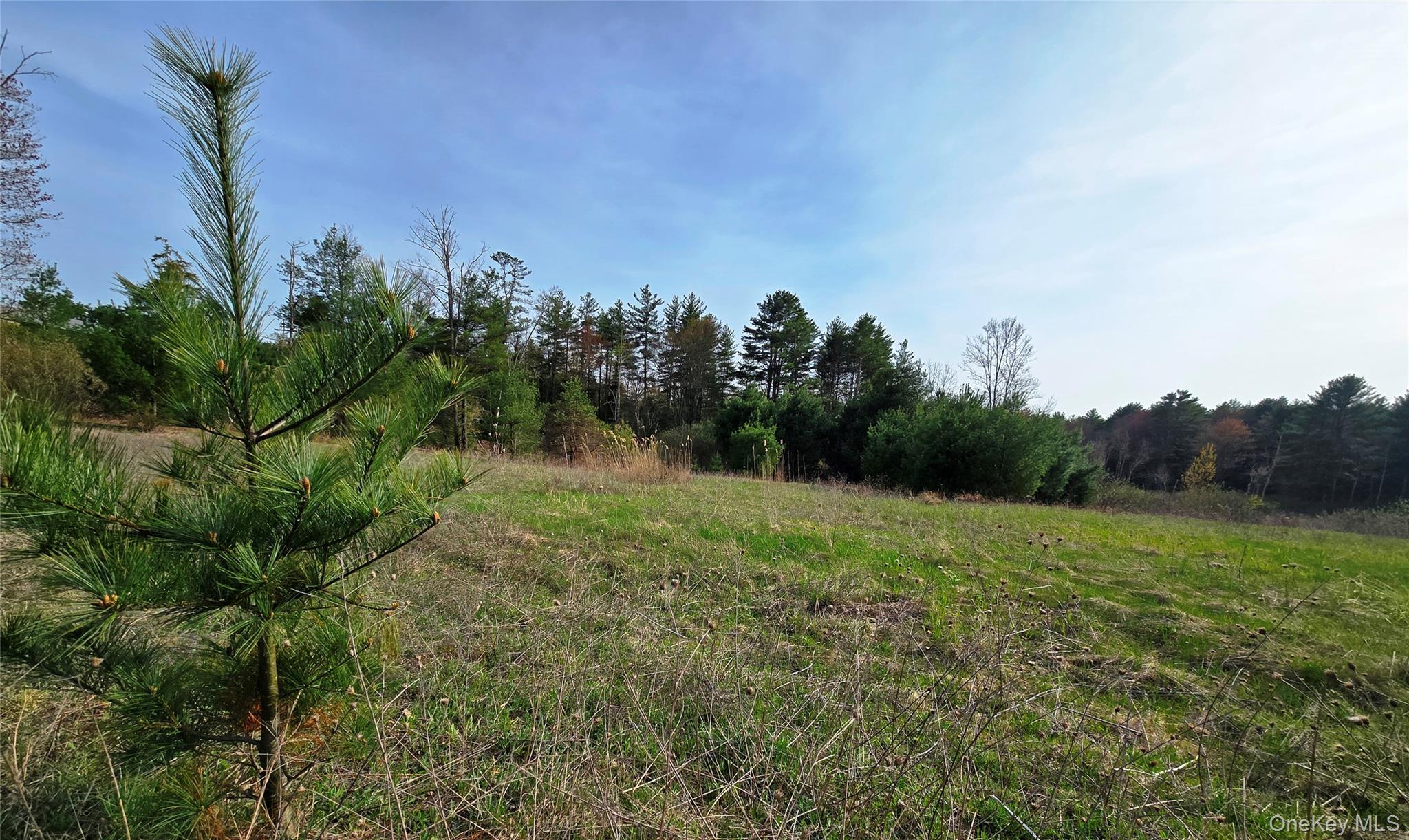 #TBD NYS Route 17B – For Sale photo 21