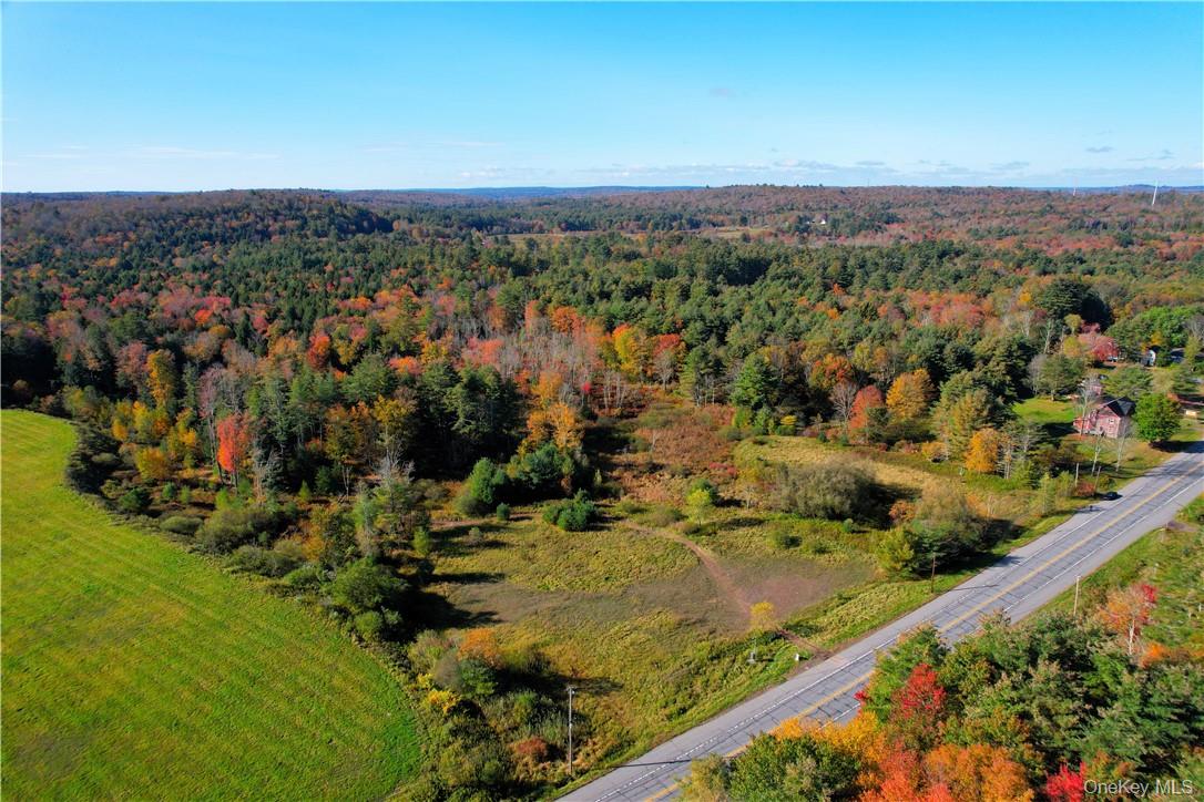 #TBD NYS Route 17B – For Sale photo 4