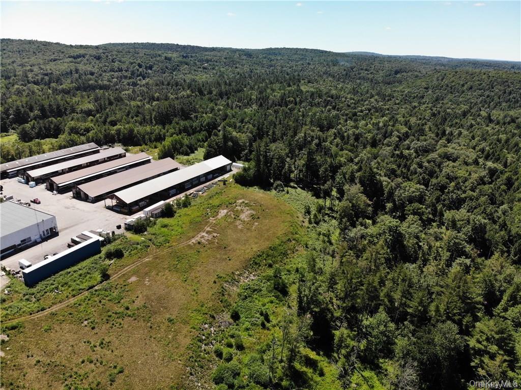 #TBD NYS Route 17B – For Sale photo 18