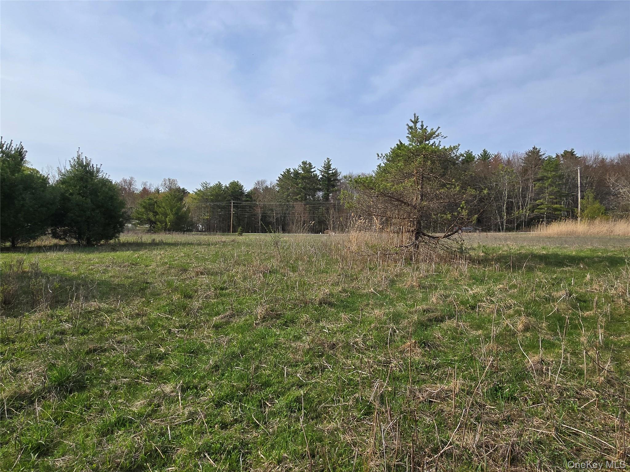 #TBD NYS Route 17B – For Sale photo 26