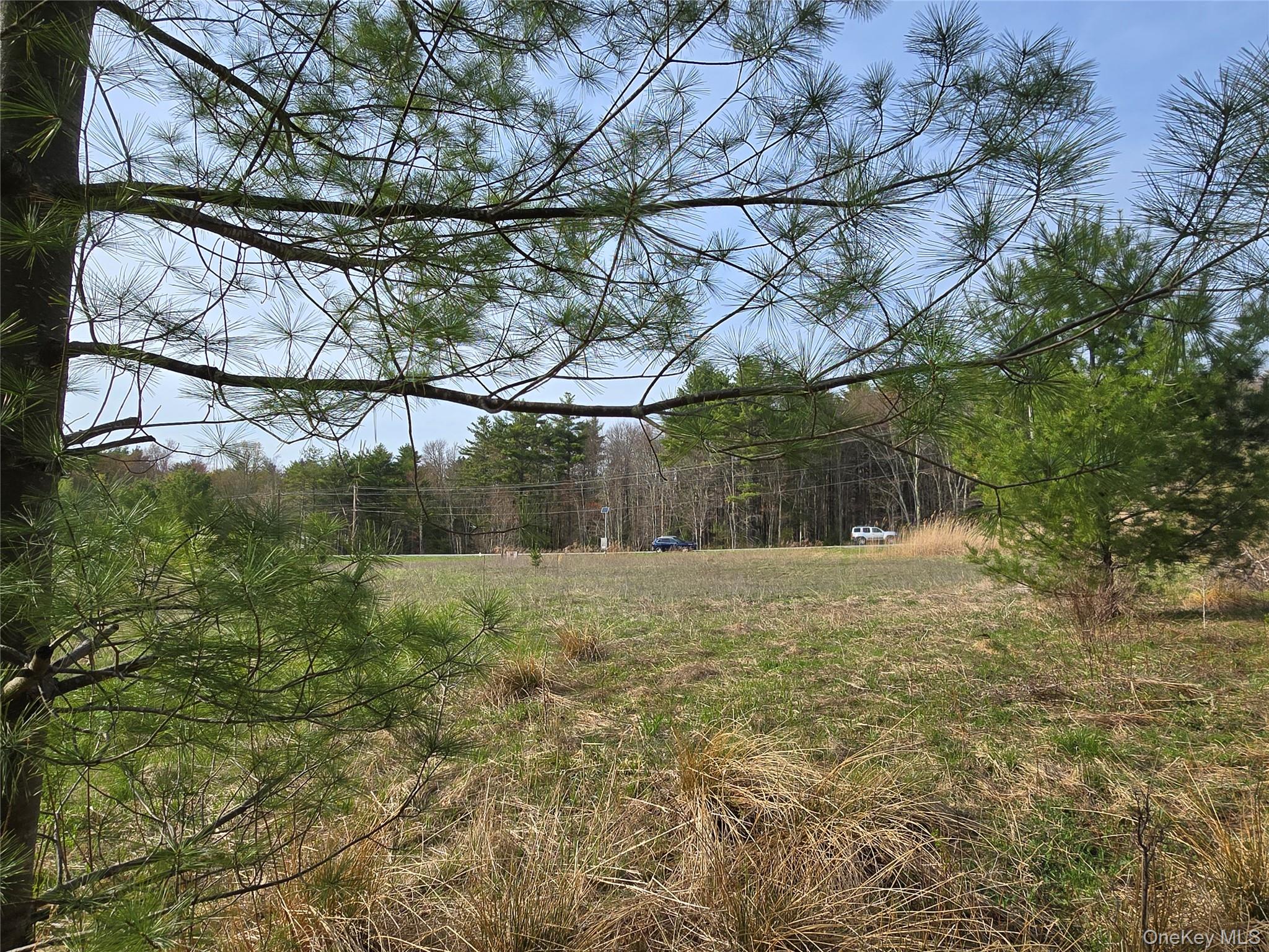 #TBD NYS Route 17B – For Sale photo 8
