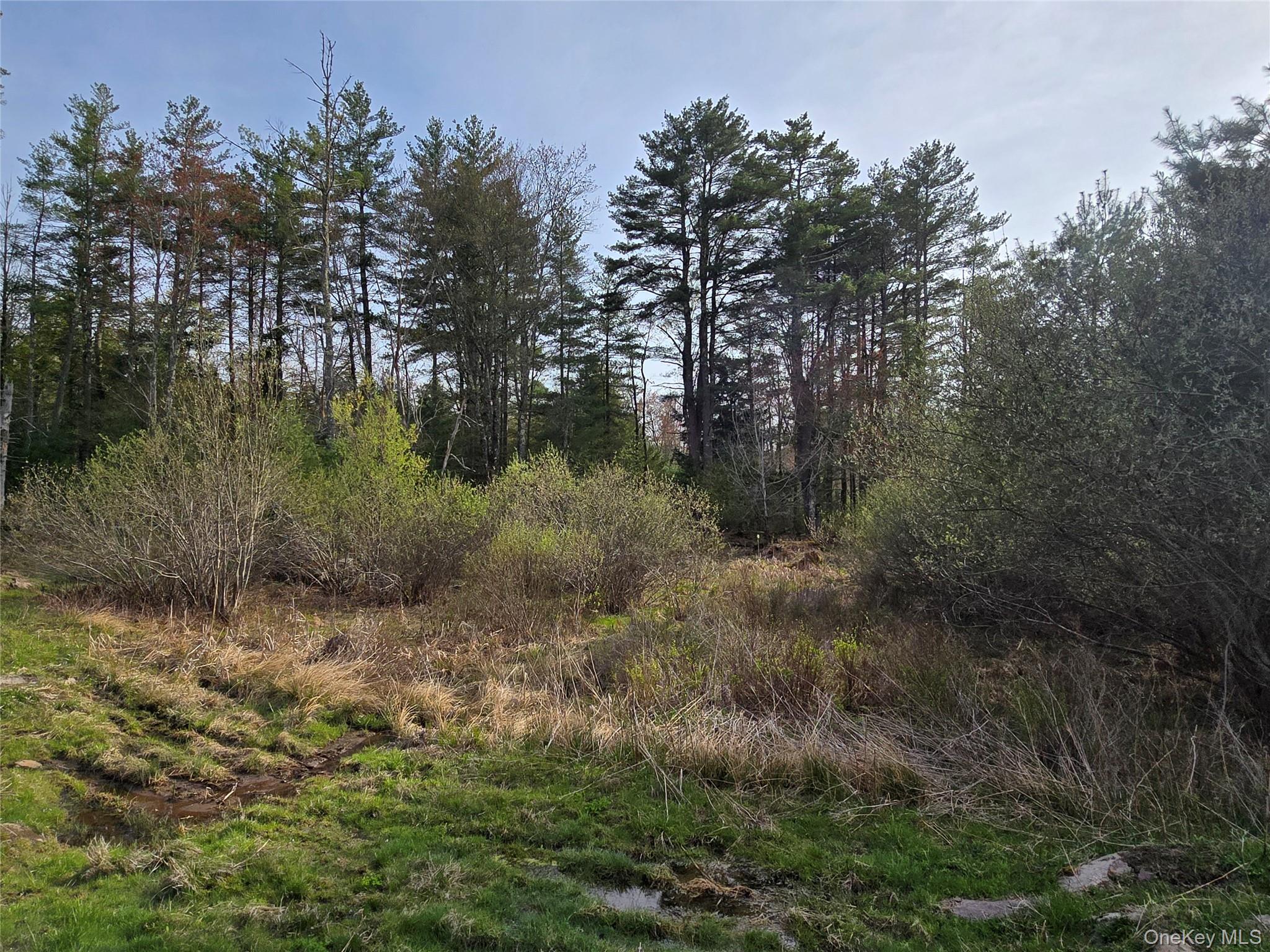 #TBD NYS Route 17B – For Sale photo 23