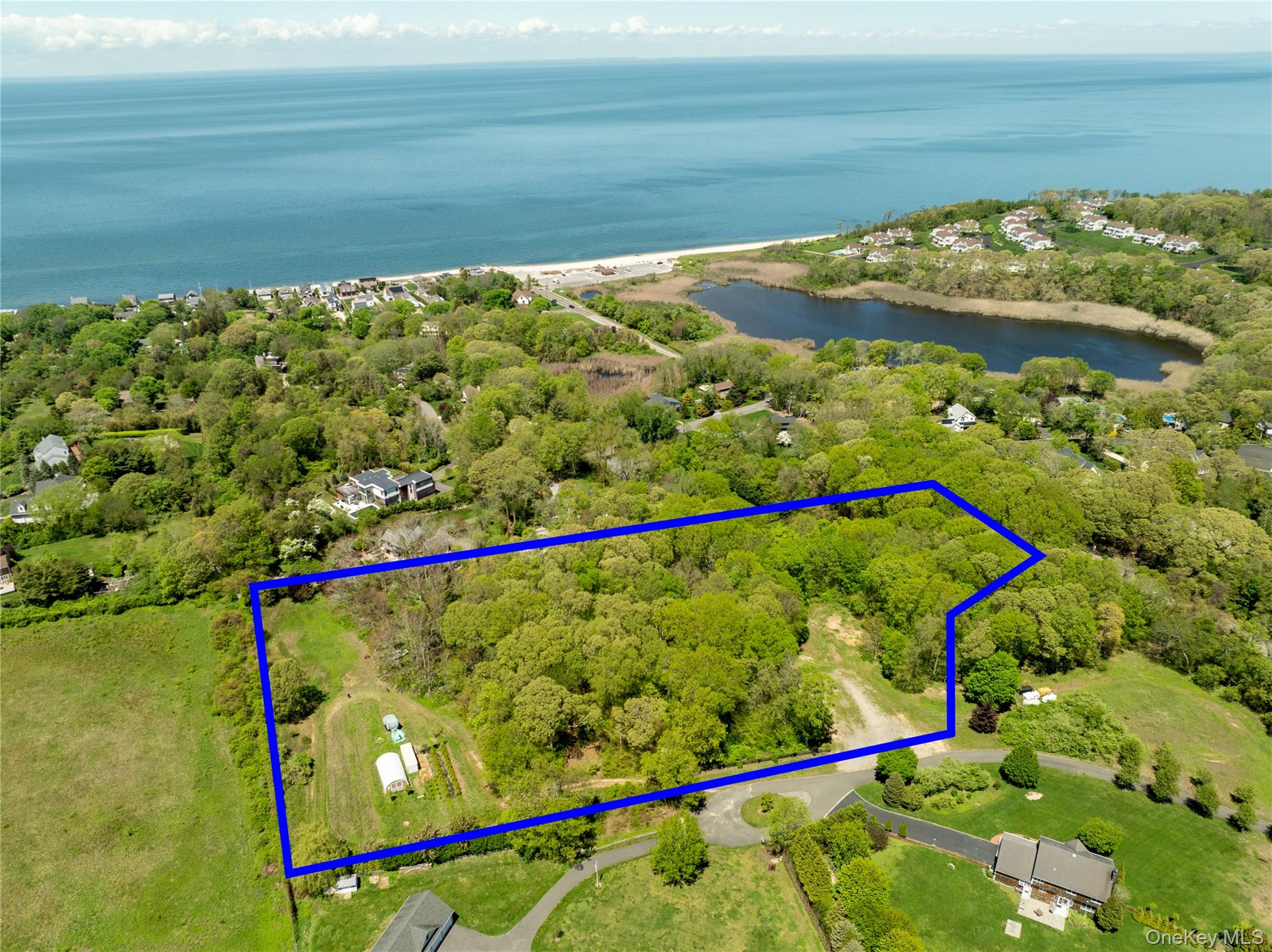 Pier Avenue – For Sale photo 9