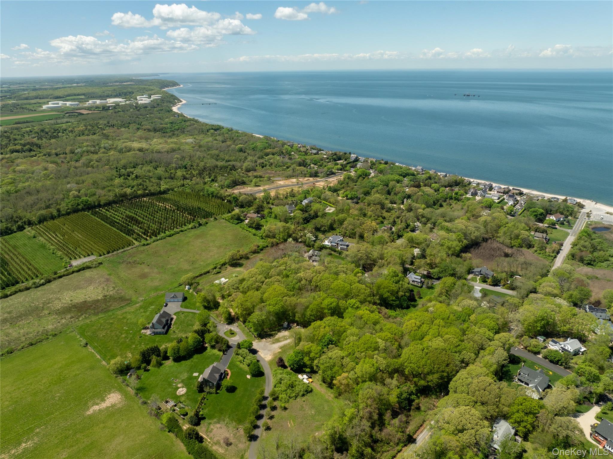 Pier Avenue – For Sale photo 16
