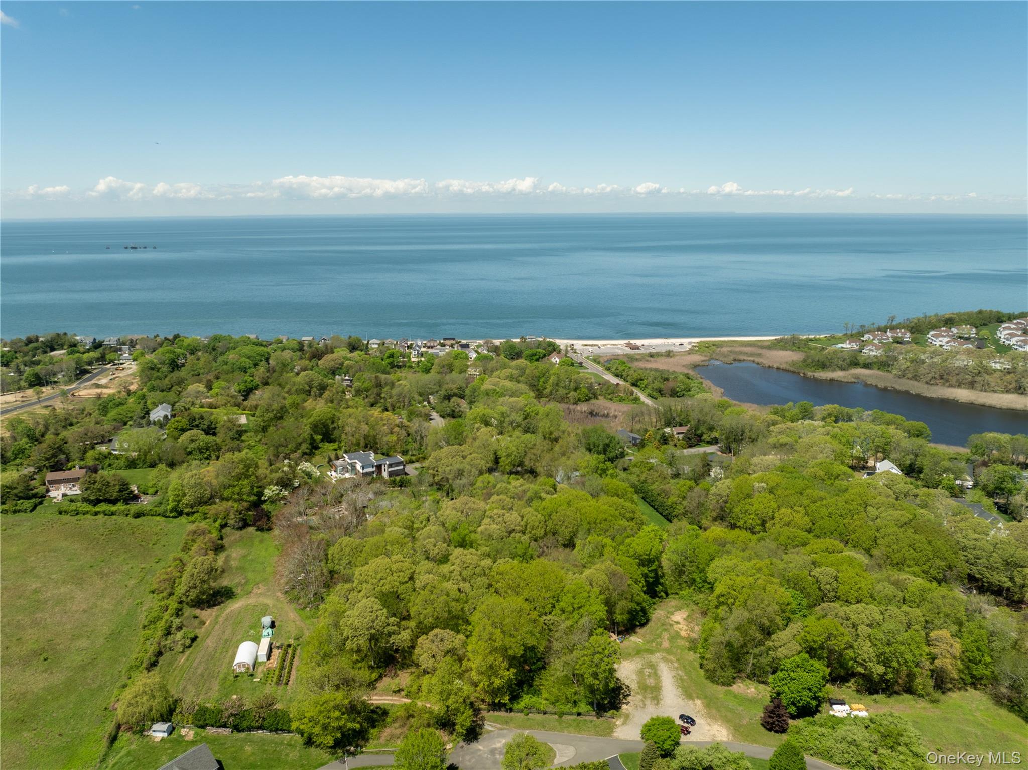 Pier Avenue – For Sale photo 5