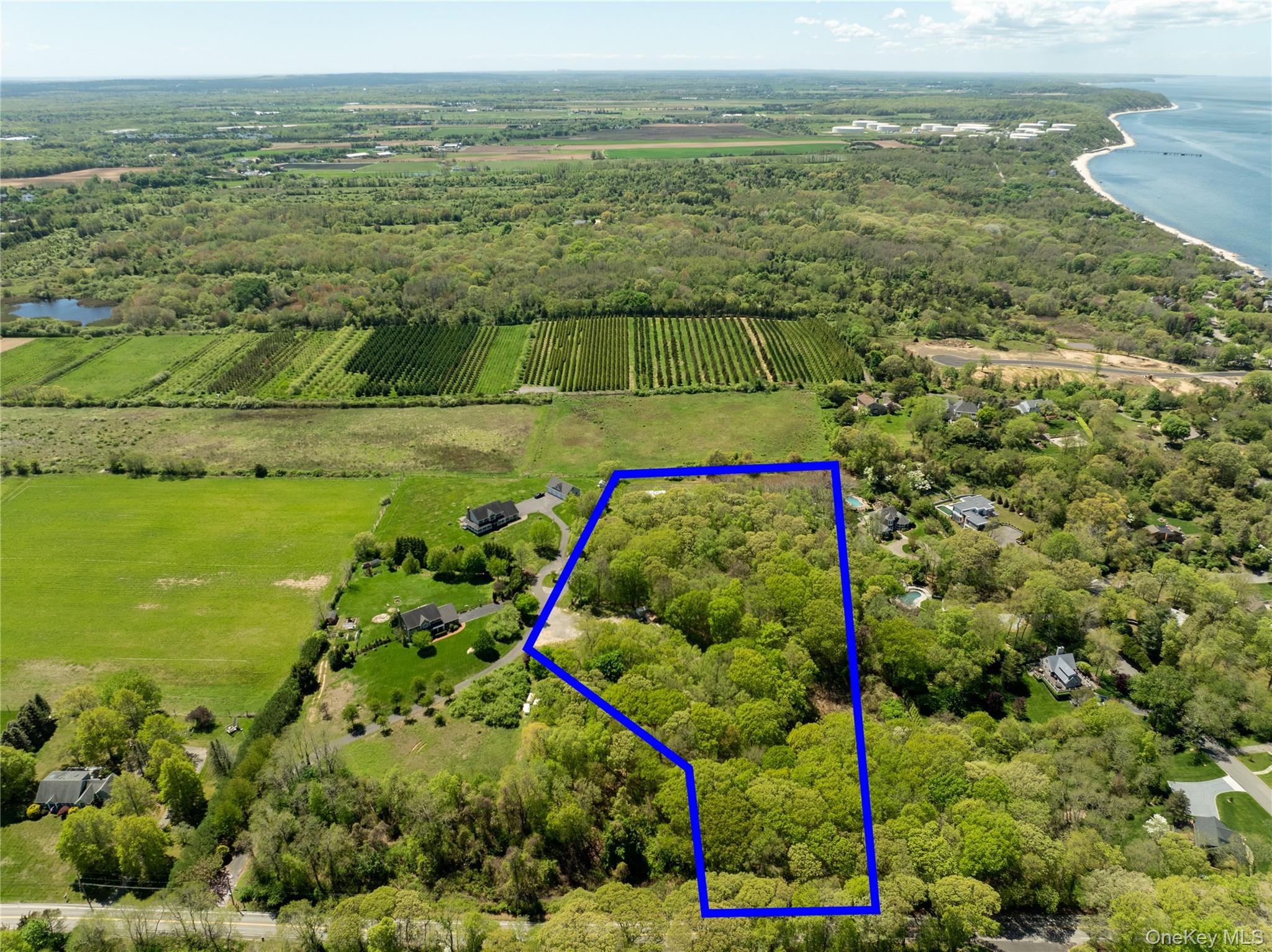 Pier Avenue – For Sale photo 2