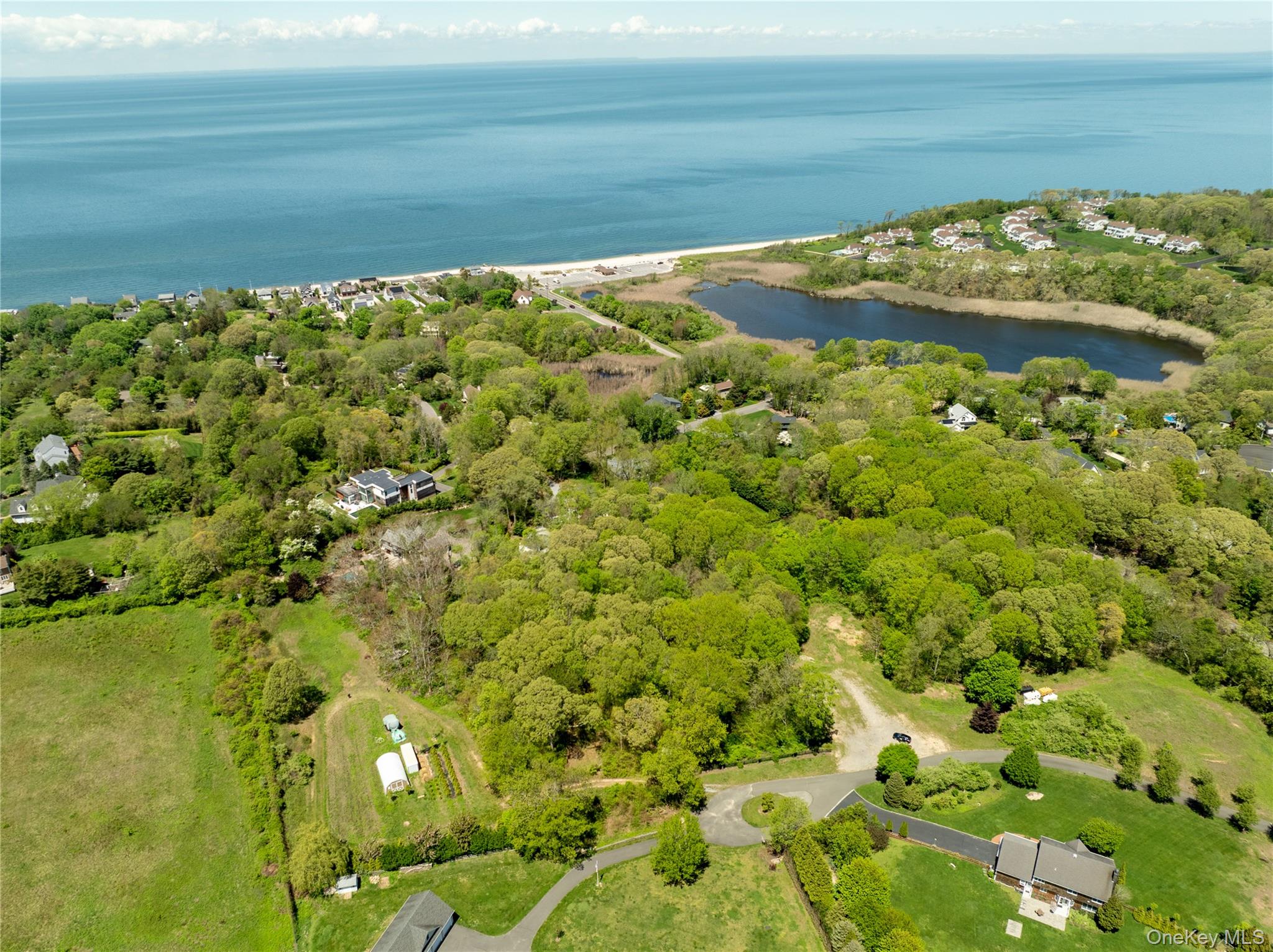 Pier Avenue – For Sale photo 8