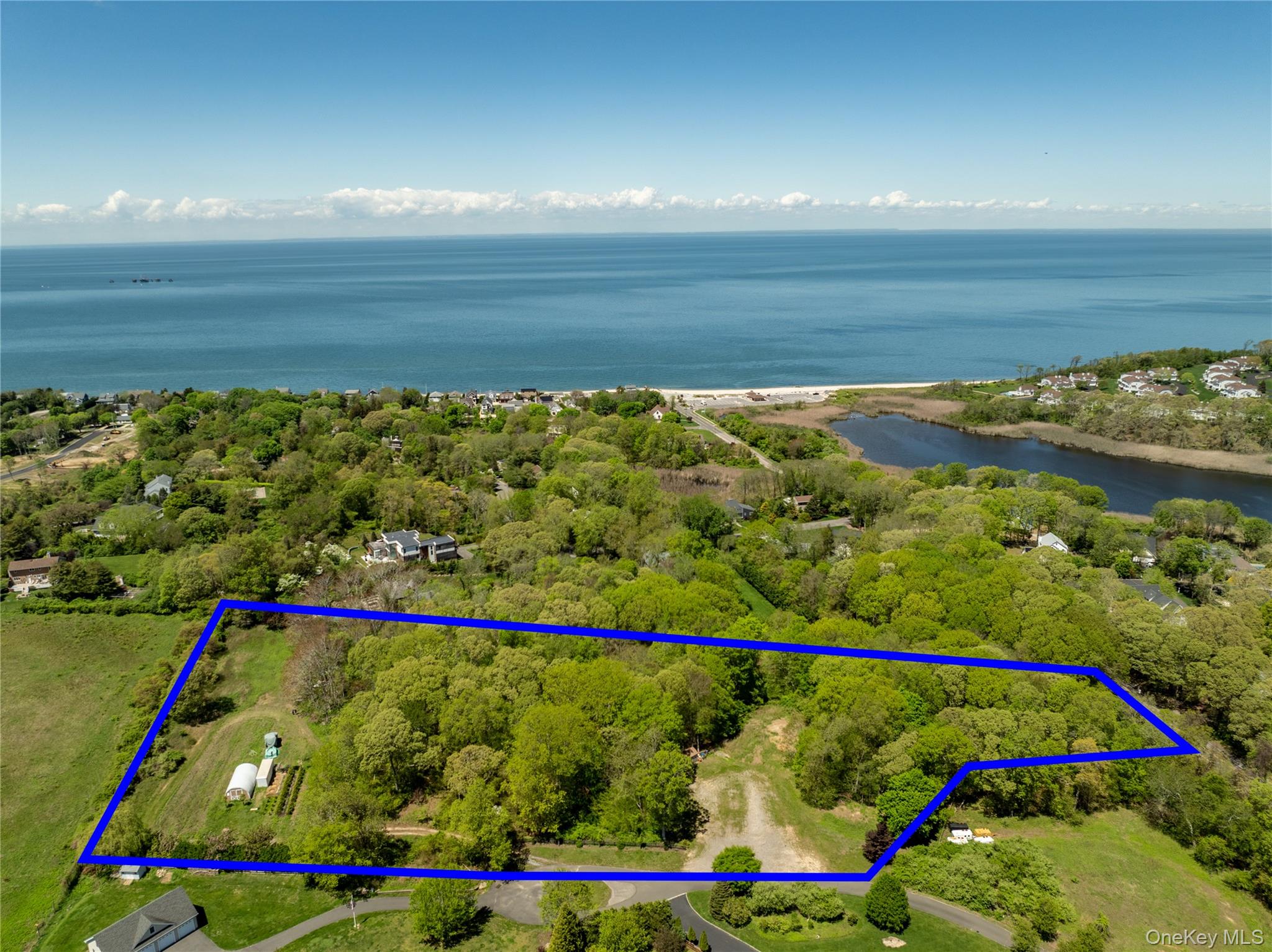 Pier Avenue – For Sale photo 6