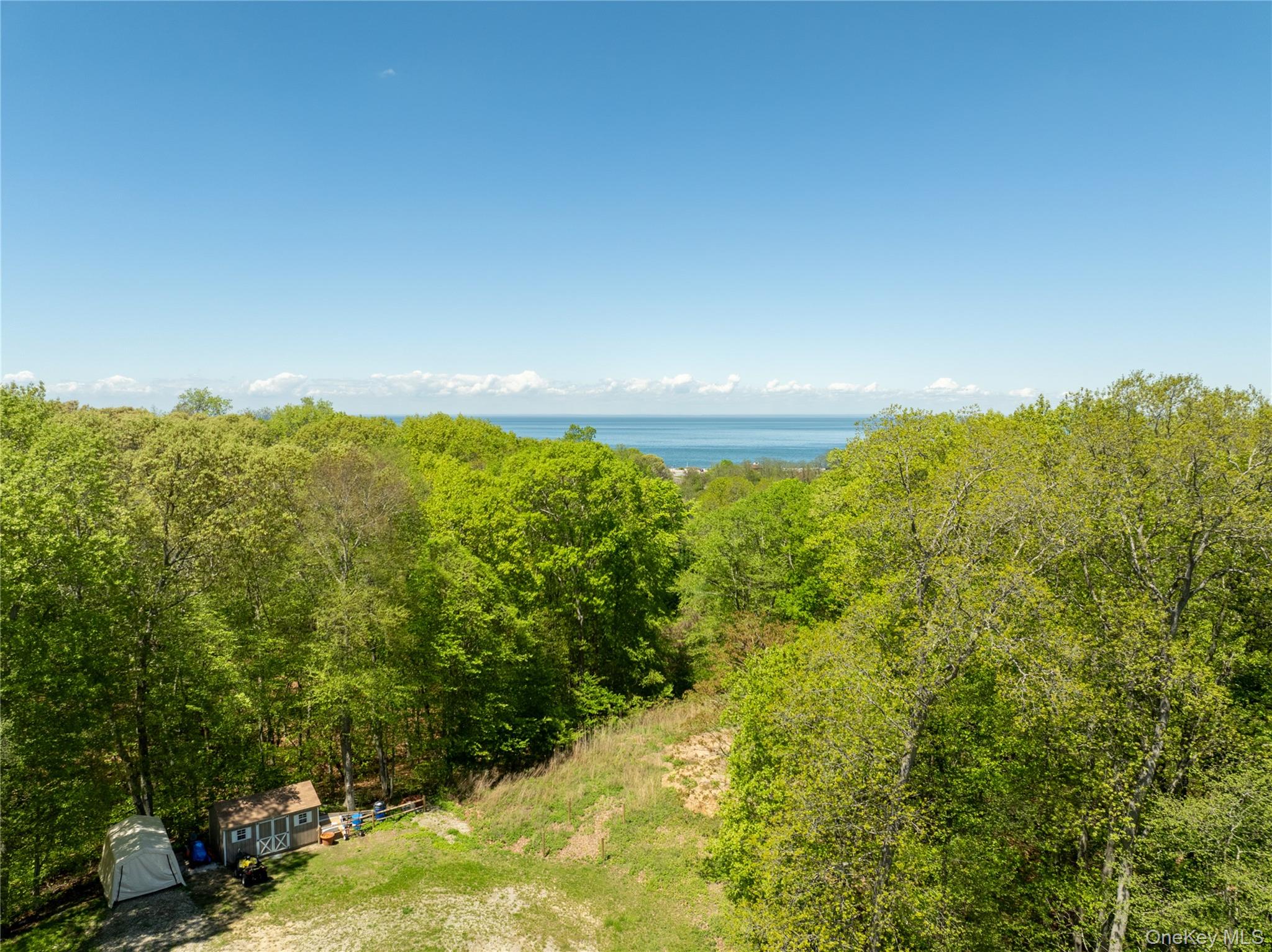 Pier Avenue – For Sale photo 3