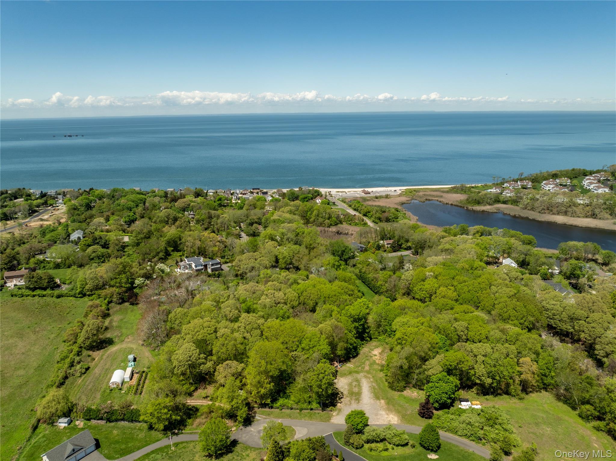 Pier Avenue – For Sale photo 7