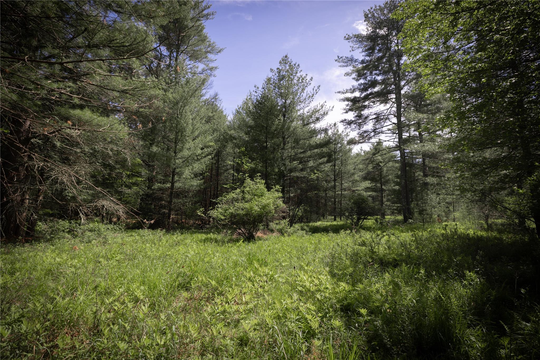 300 Mt Laurel Road – For Sale photo 9
