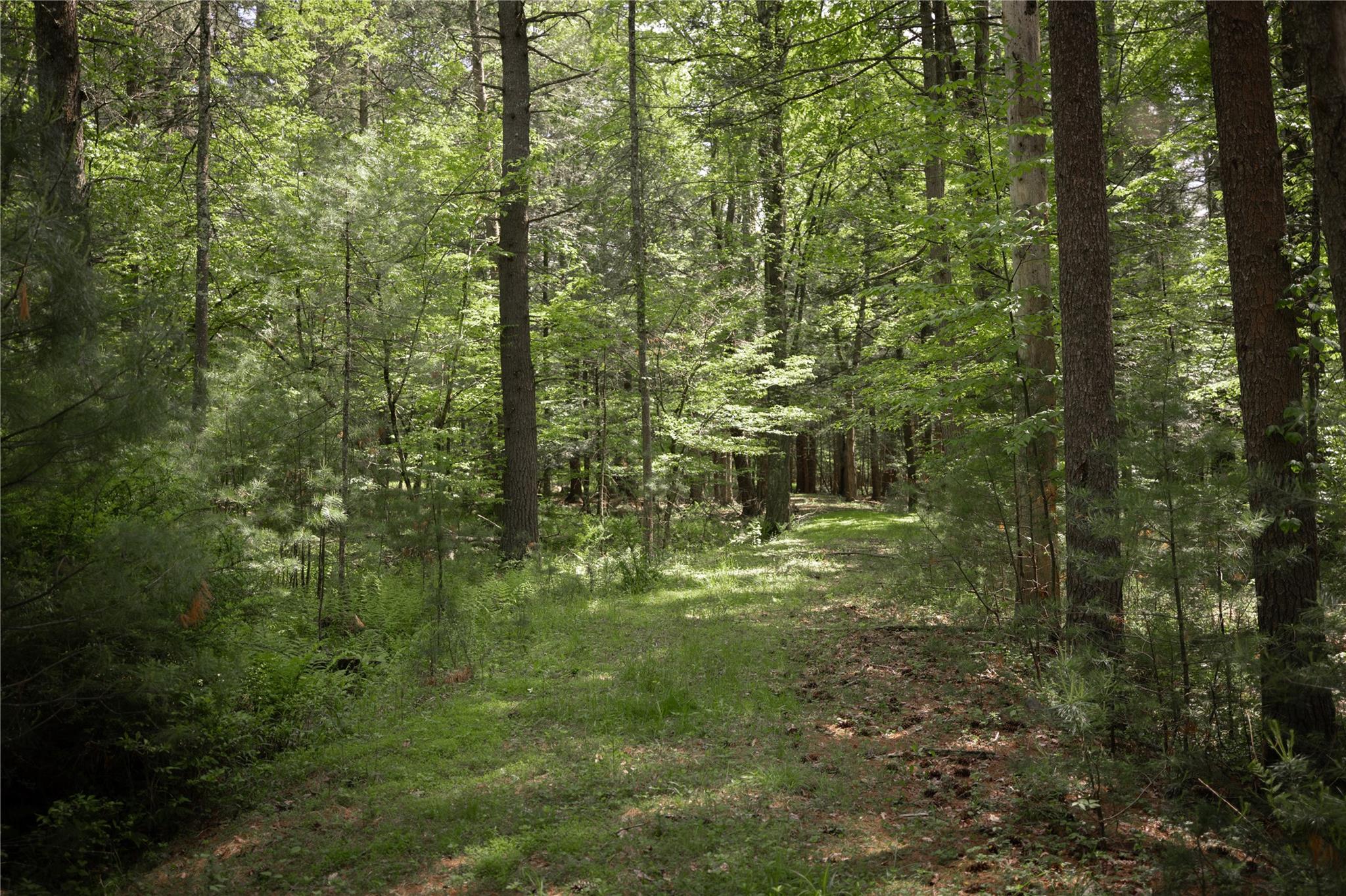 300 Mt Laurel Road – For Sale photo 8