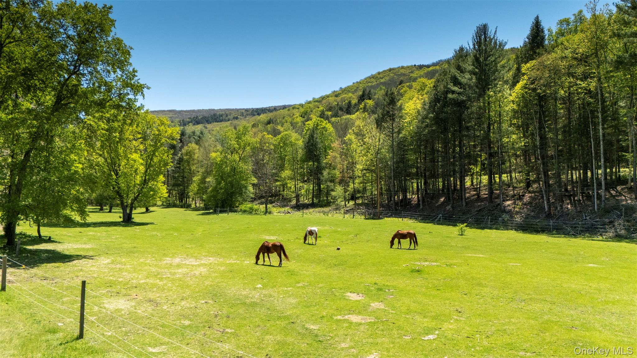 390 Erpf Road – For Sale photo 43