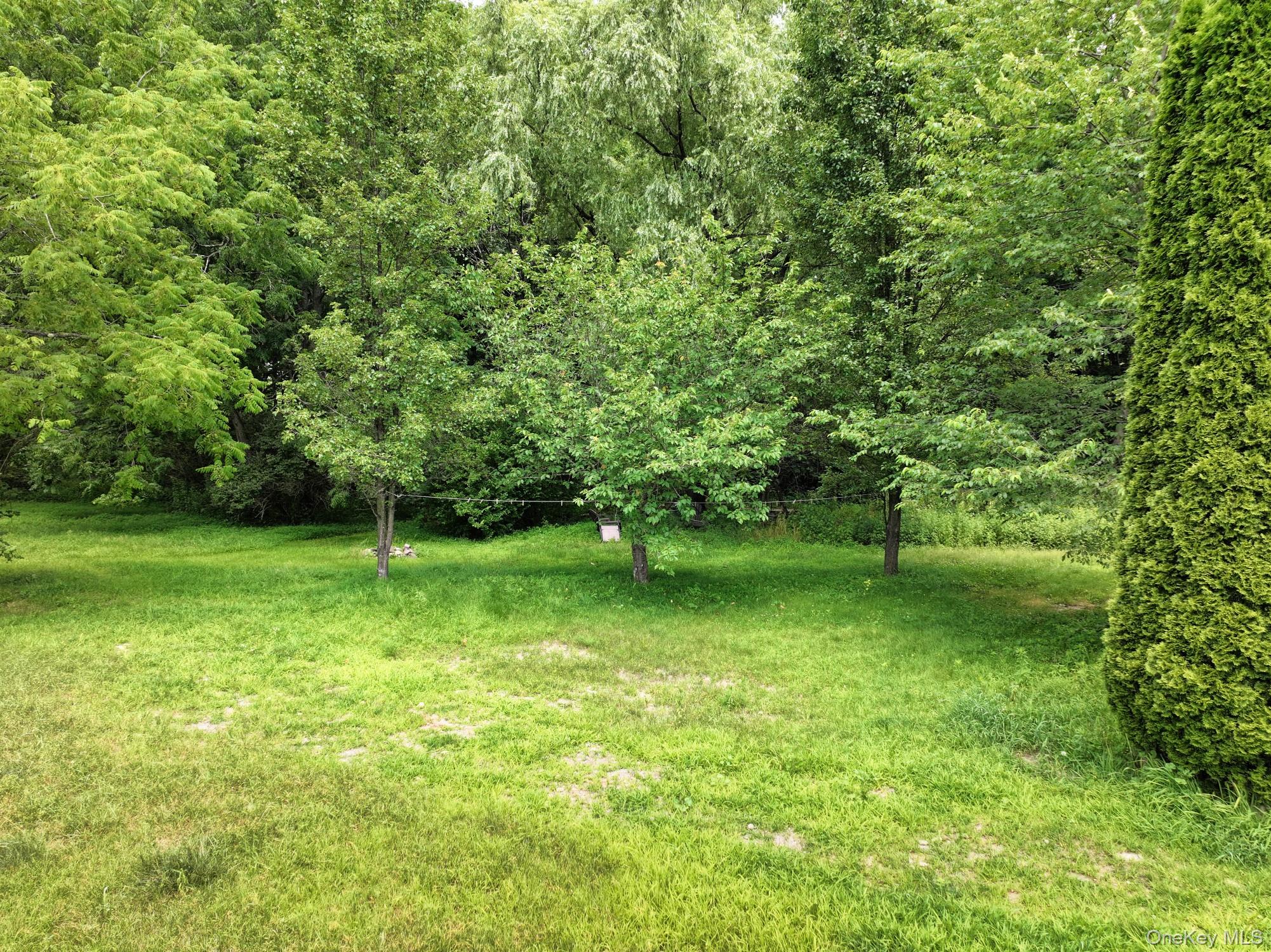 1753 State Route 209 – For Sale photo 50