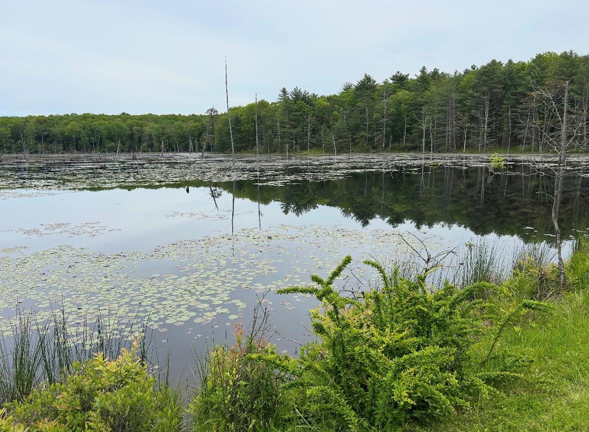 Lot 45 Split Rock Drive – For Sale photo 2