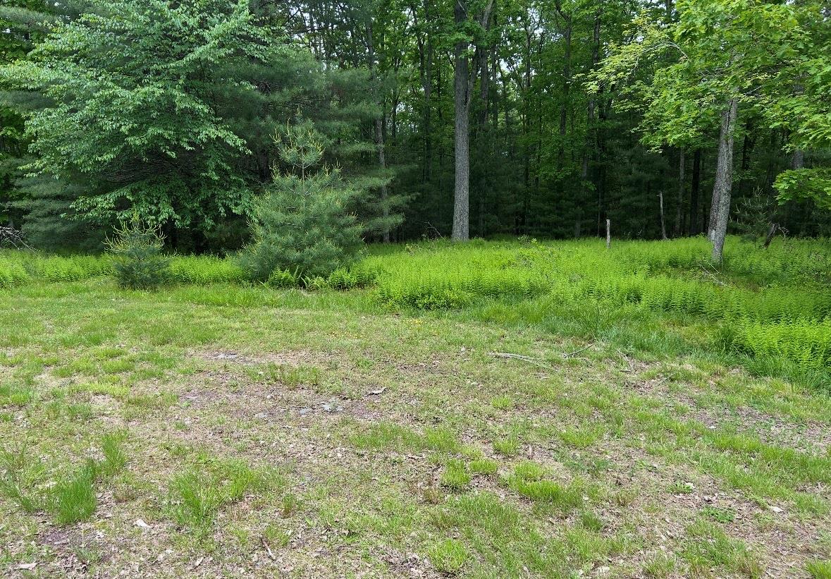Lot 45 Split Rock Drive – For Sale