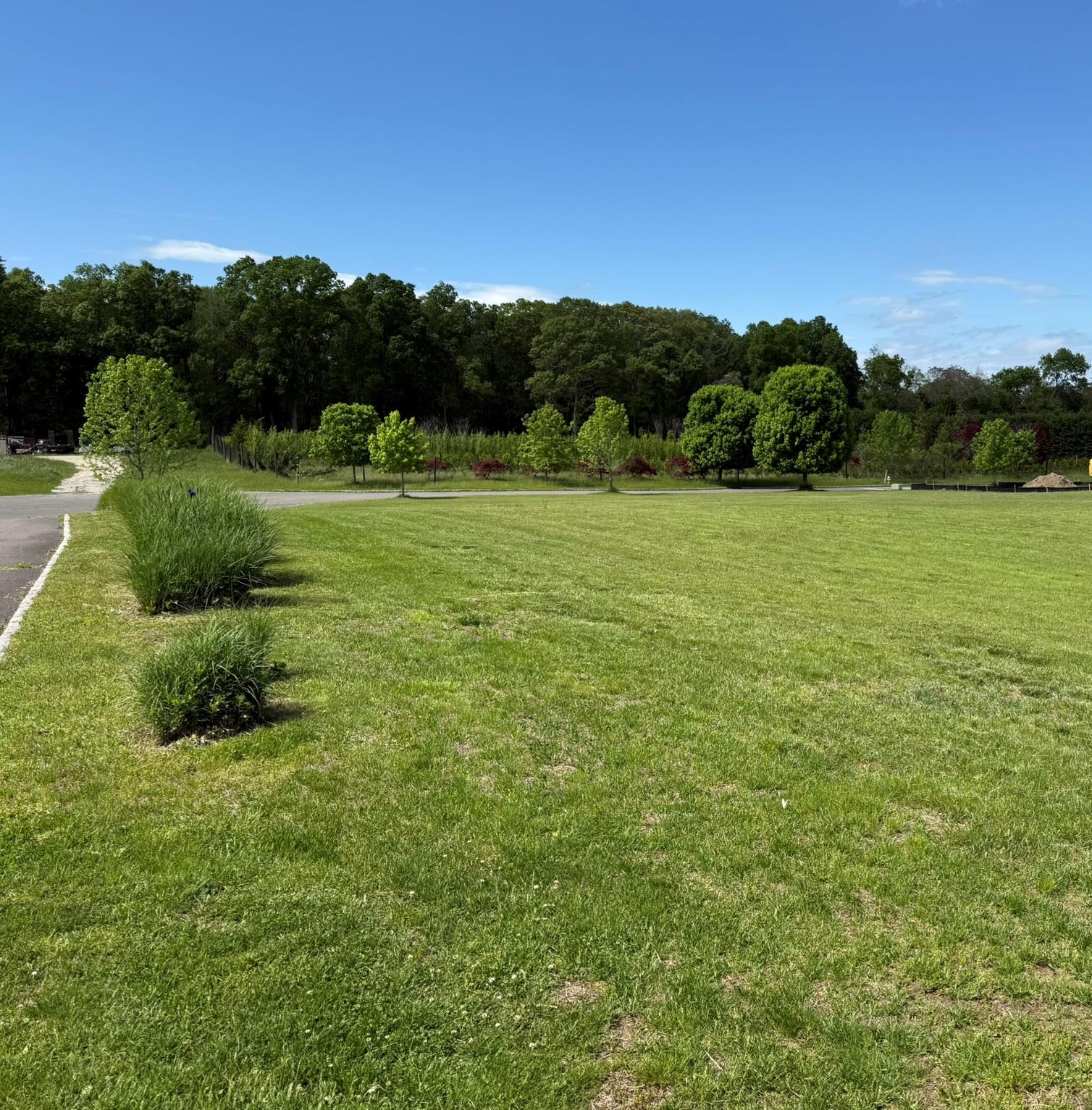 8 Lois Lane – For Sale photo 6
