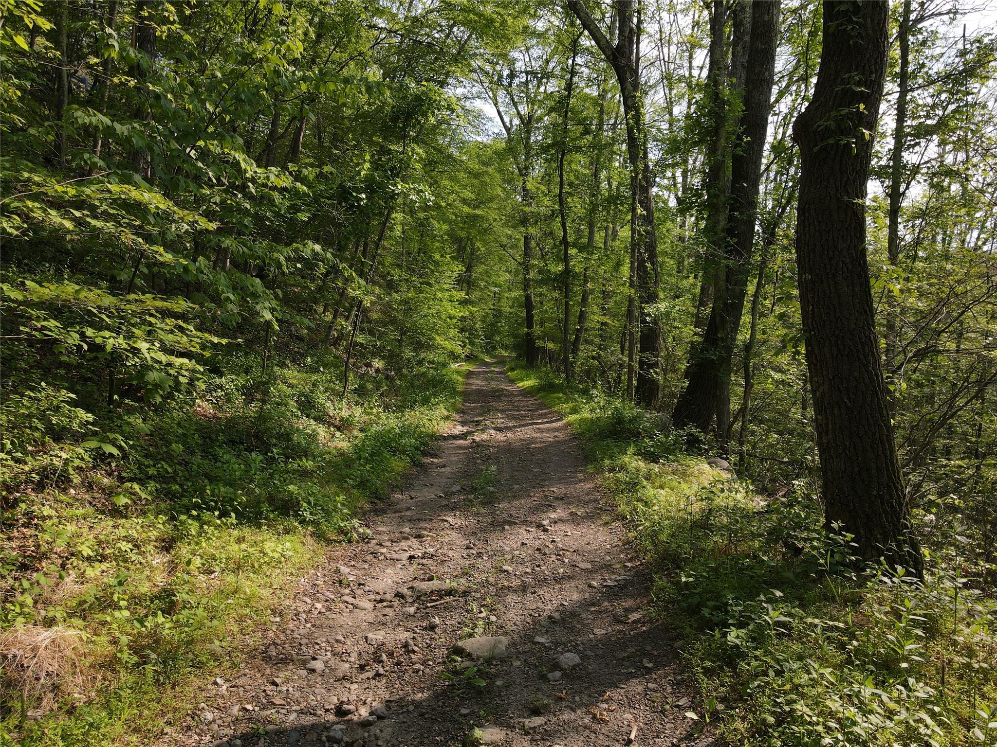 Route 52 – For Sale photo 18