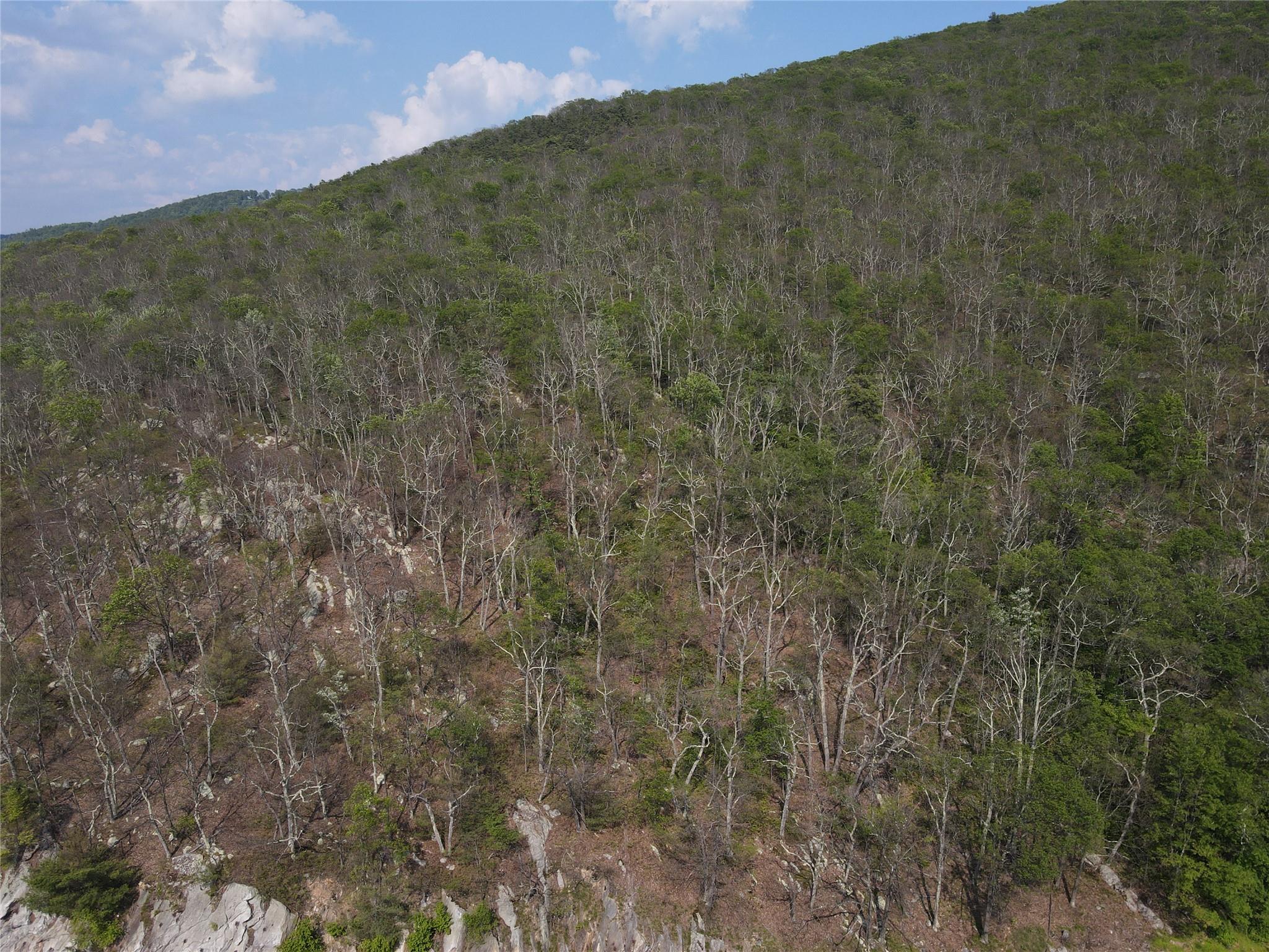 Route 52 – For Sale photo 2