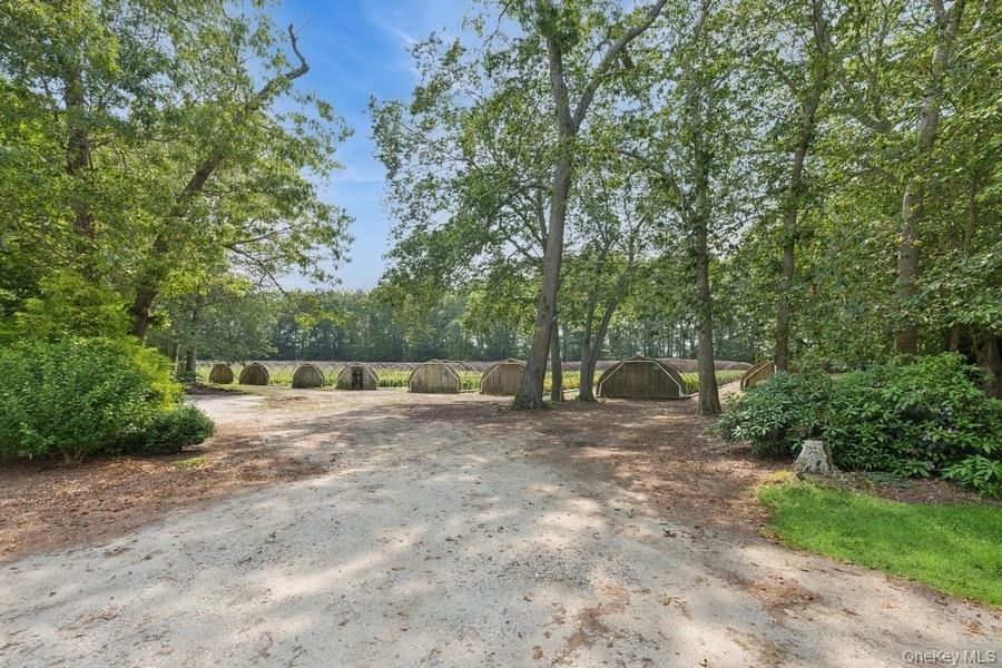550 / 538 Herricks Lane – For Rent photo 6