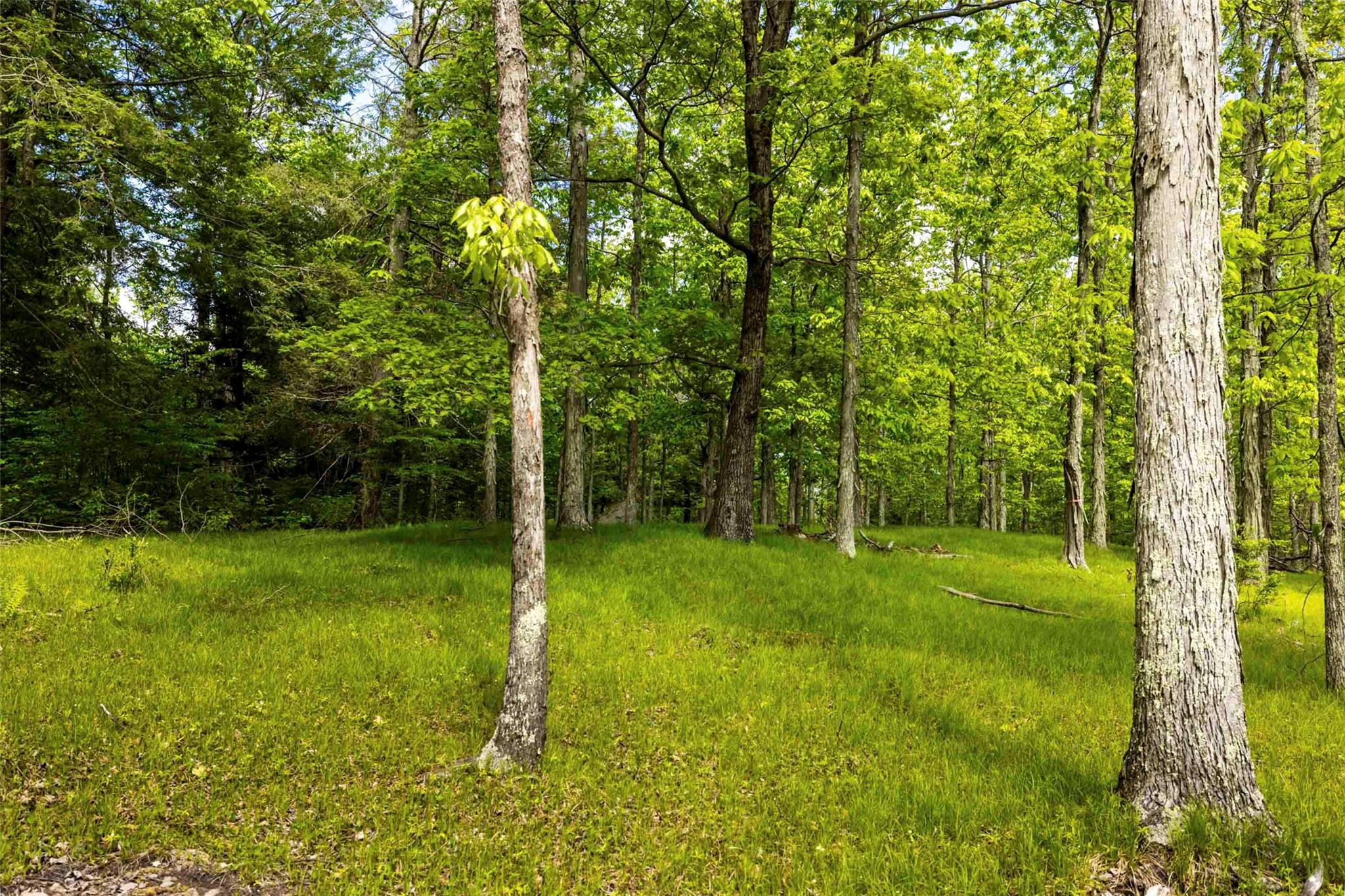 8 Forest Camp Road – For Sale photo 9