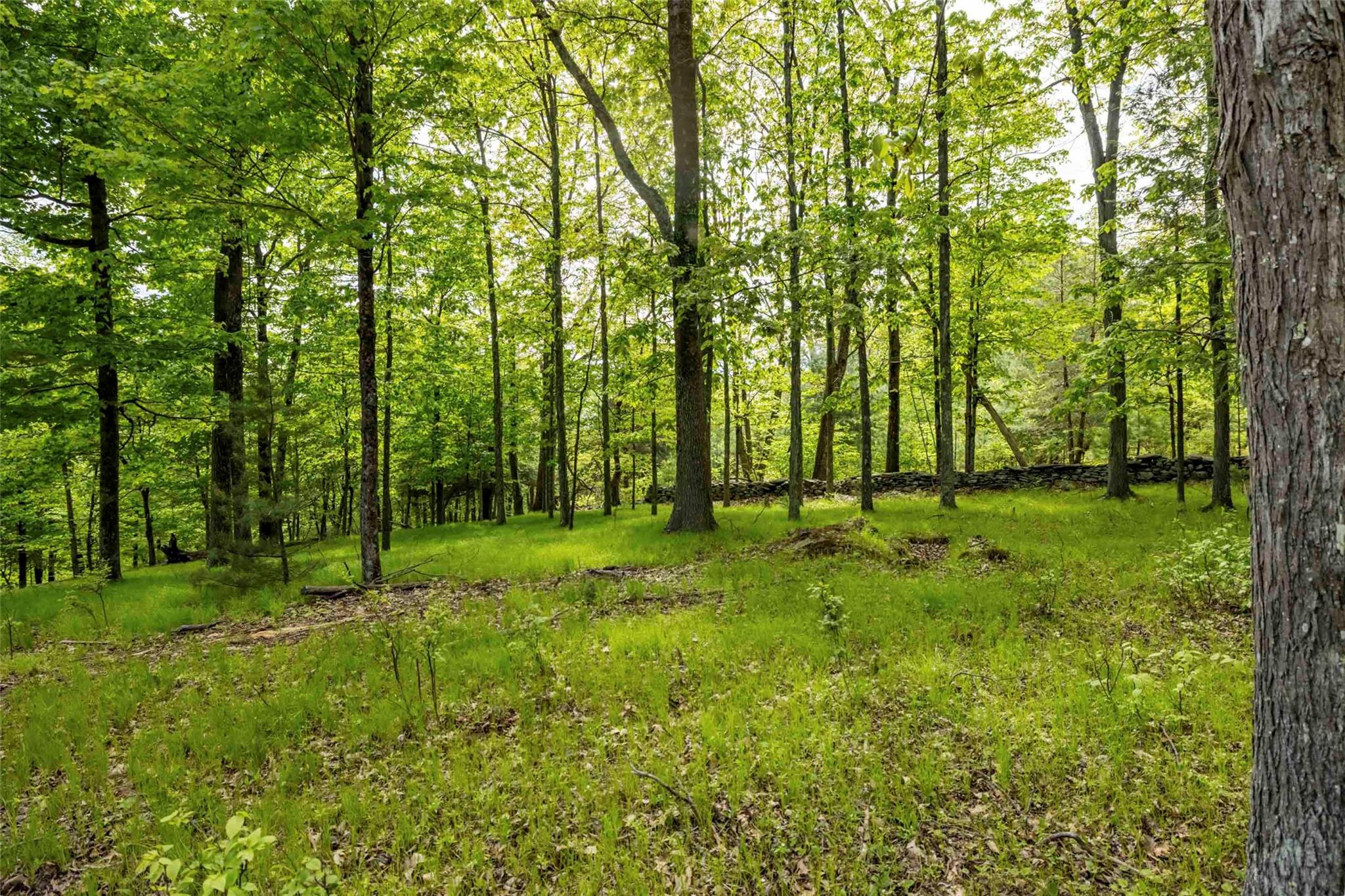 8 Forest Camp Road – For Sale photo 13
