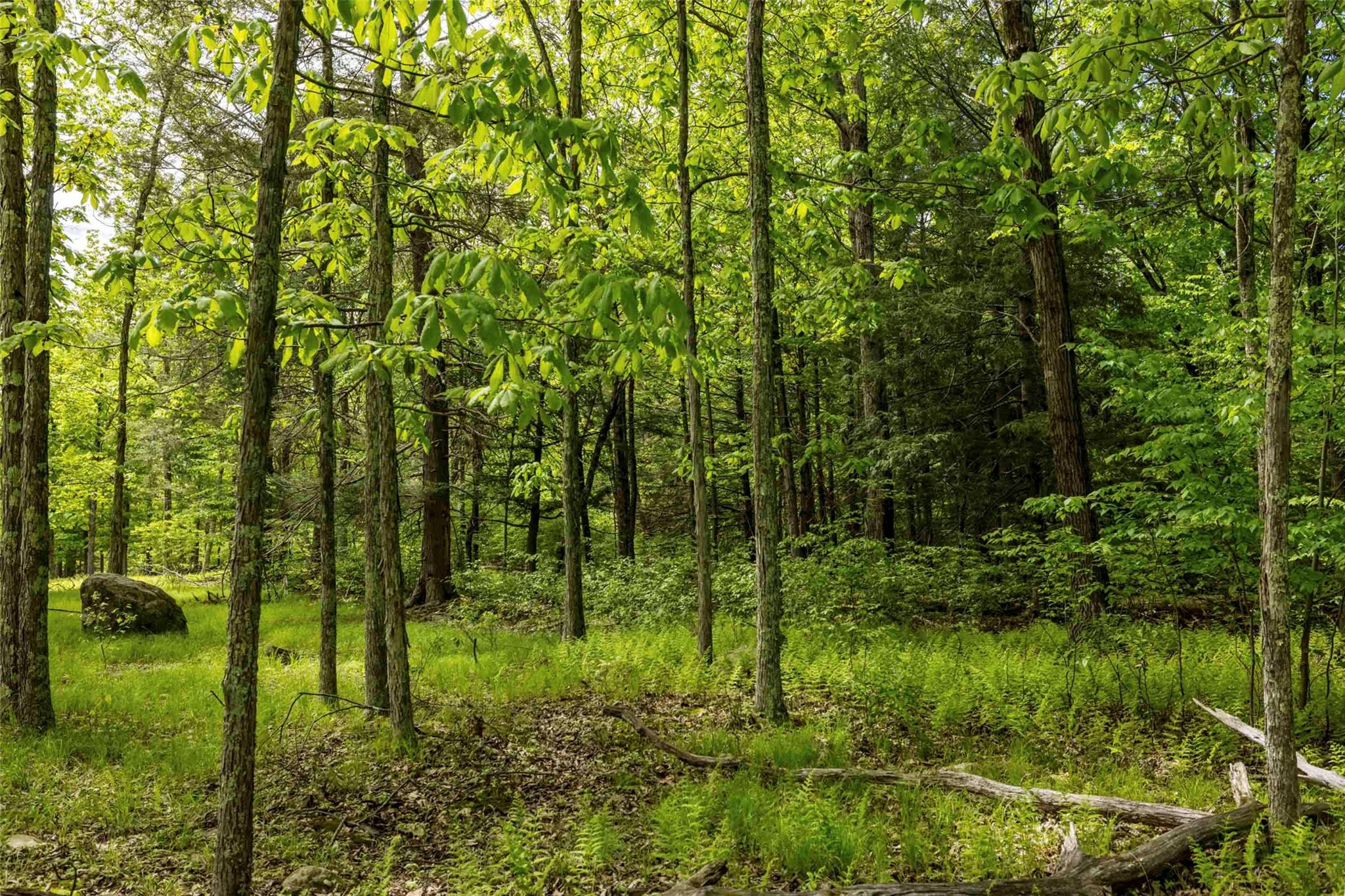 8 Forest Camp Road – For Sale photo 11
