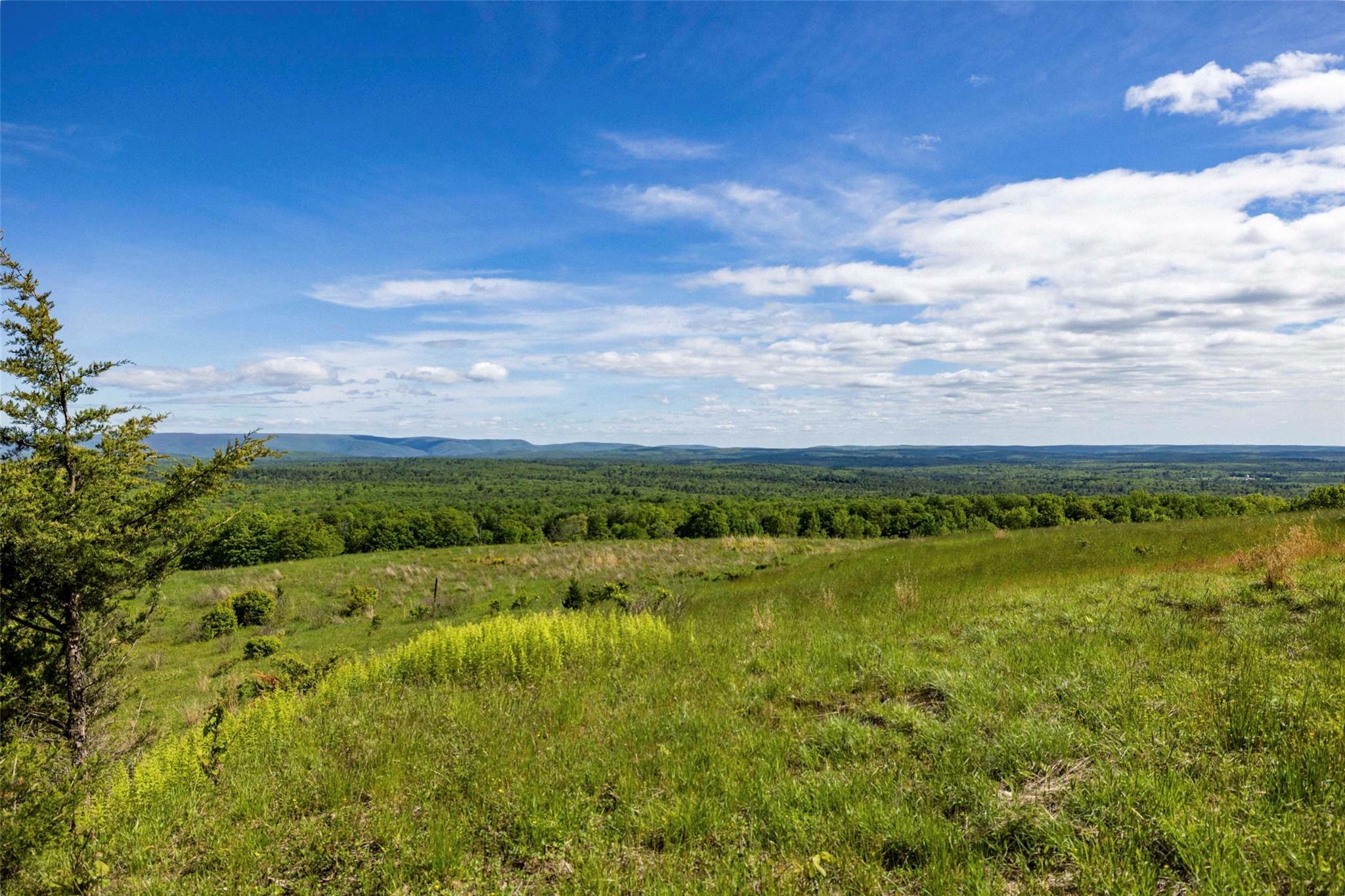 19 Red Rock Road – For Sale photo 4