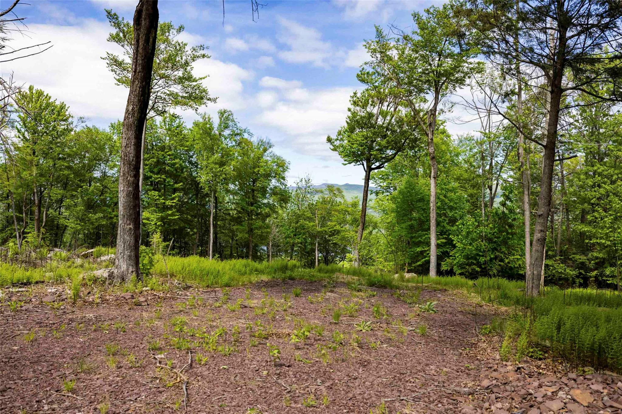 3 Red Rock Road – For Sale photo 10