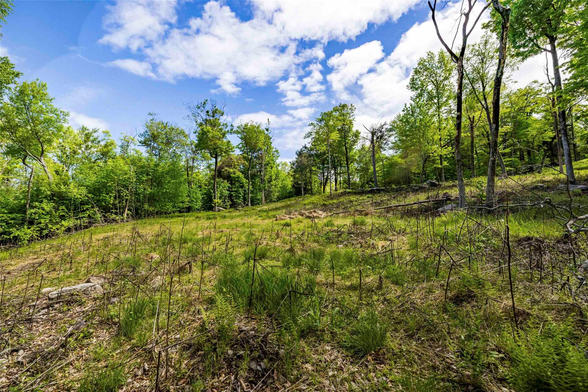 3 Red Rock Road – For Sale photo 3