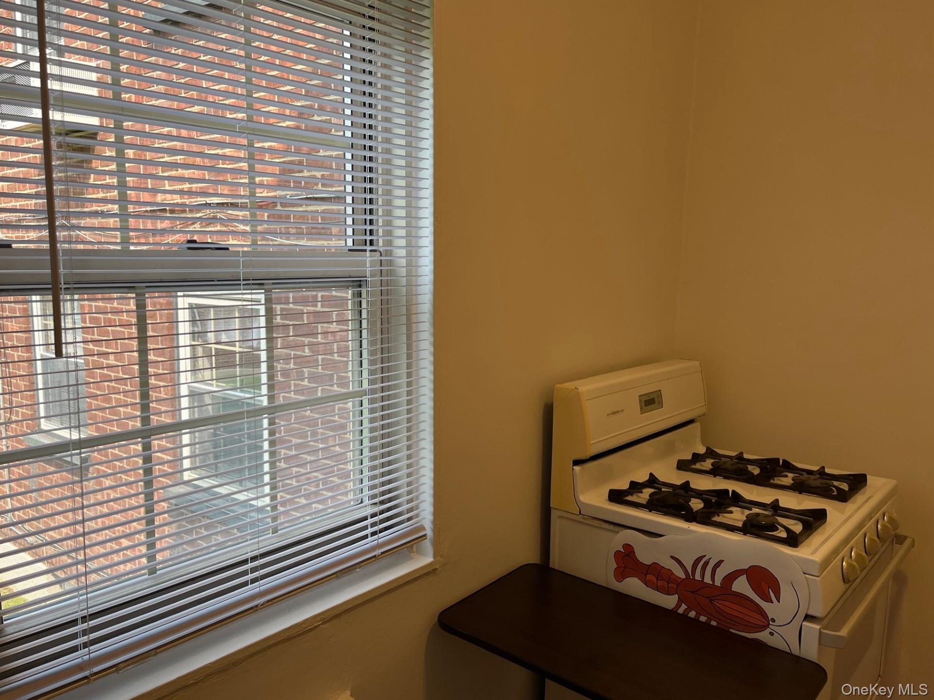 210-12 69th Avenue, Unit Lower photo 5