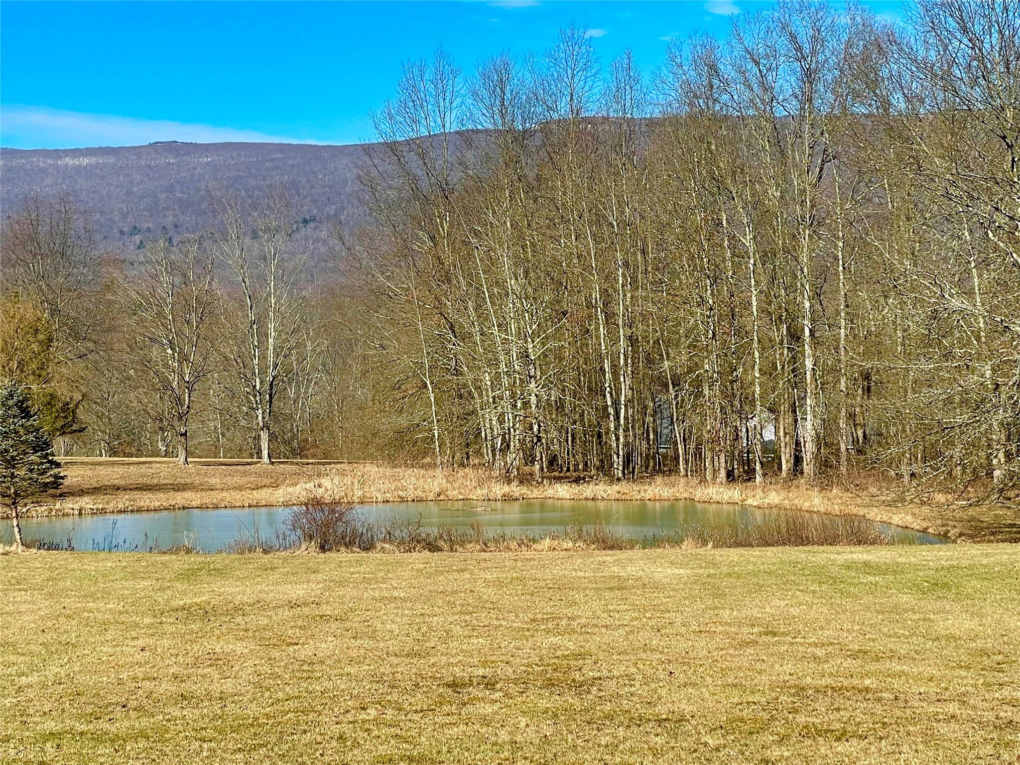71 Saddleback Ridge Road – For Sale photo 39