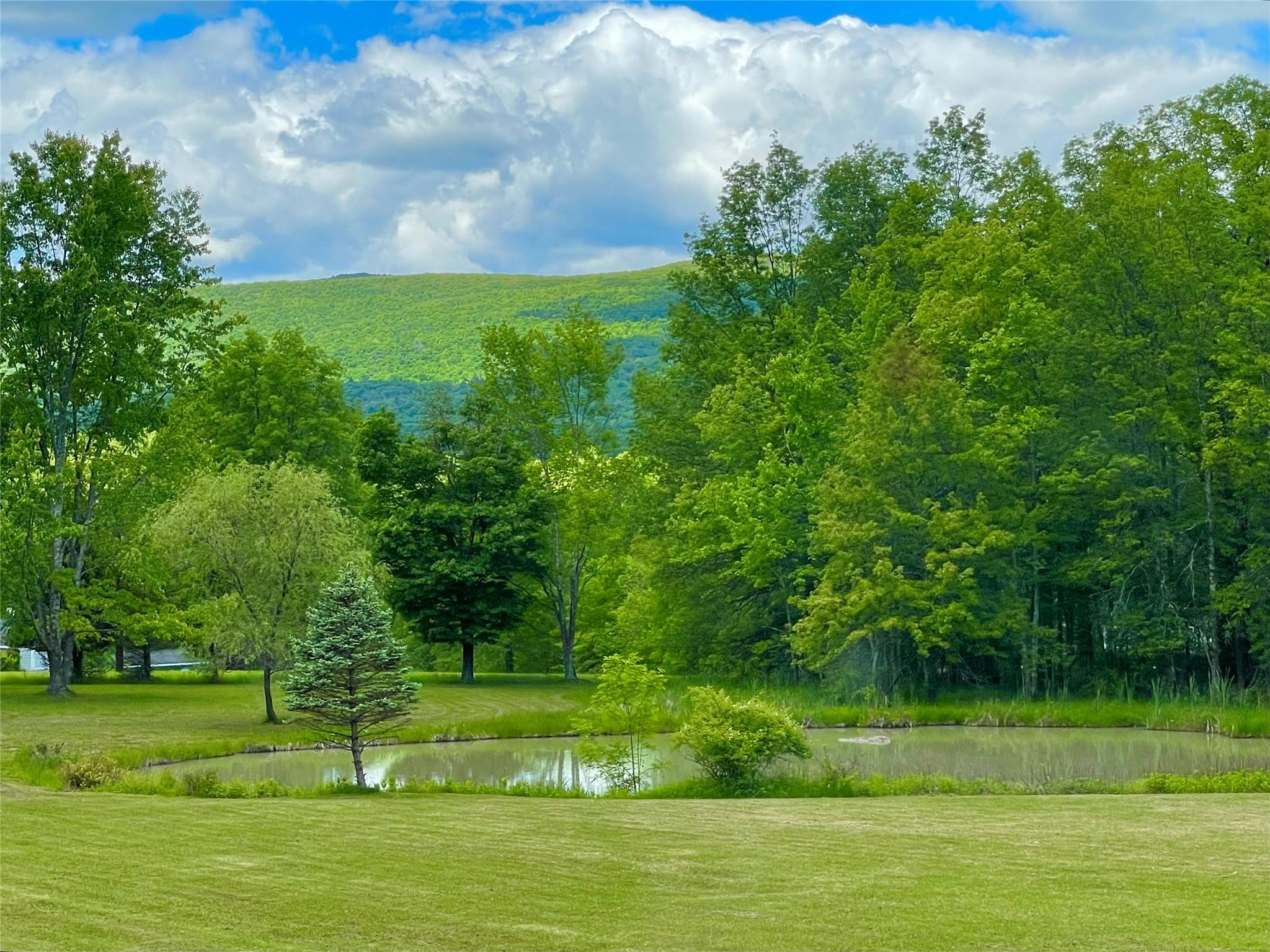 71 Saddleback Ridge Road – For Sale photo 4