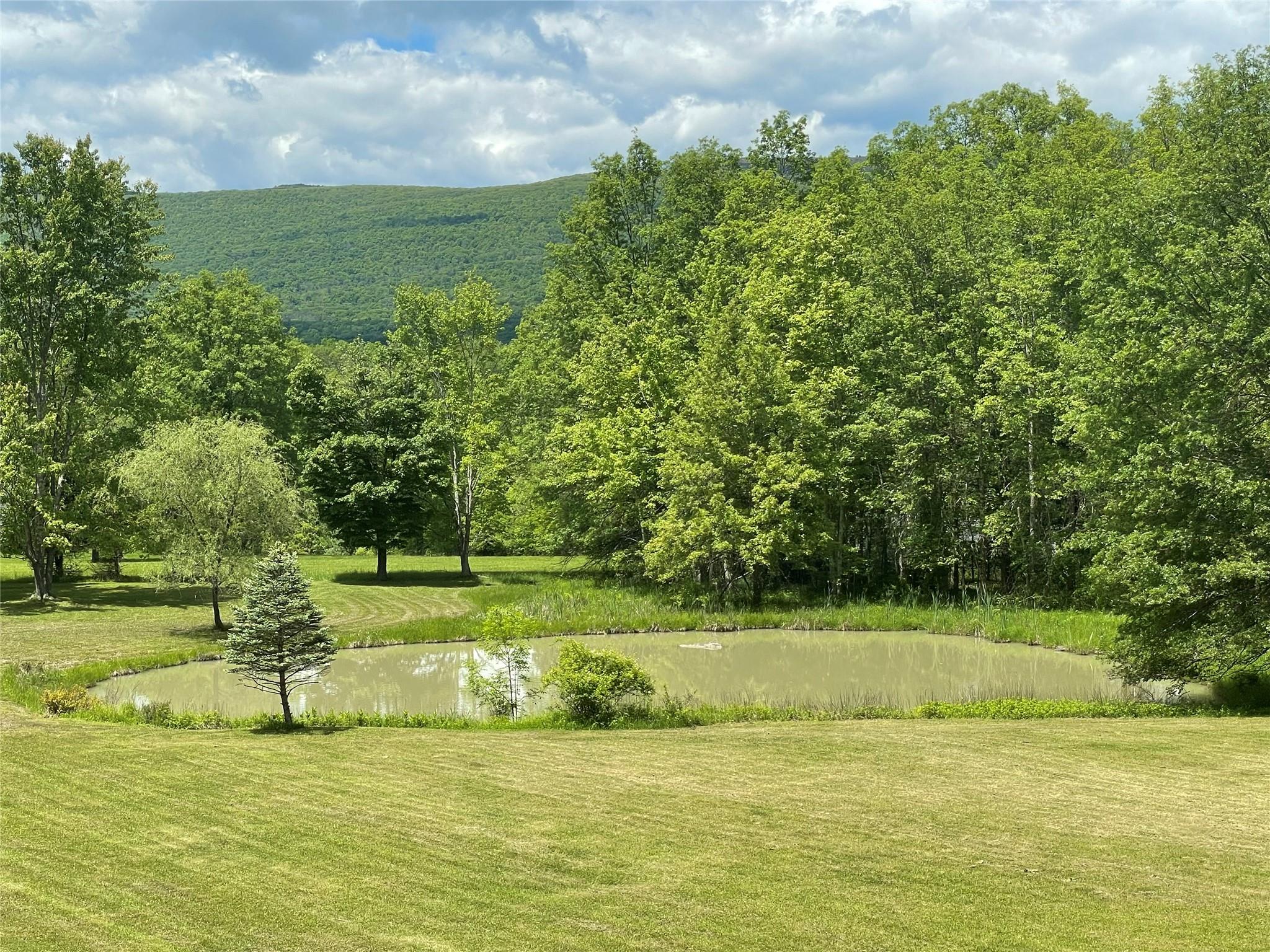 71 Saddleback Ridge Road – For Sale photo 26
