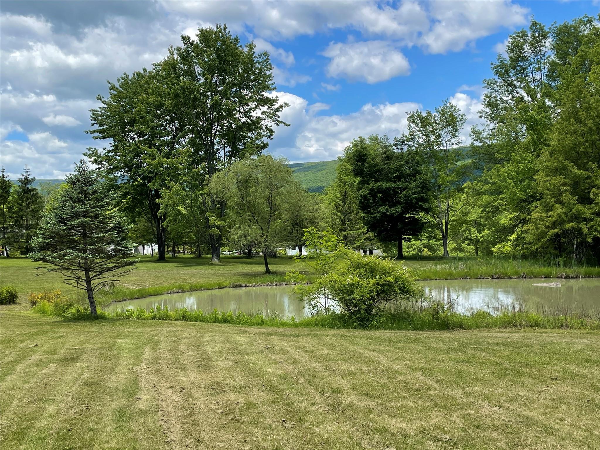71 Saddleback Ridge Road – For Sale photo 11