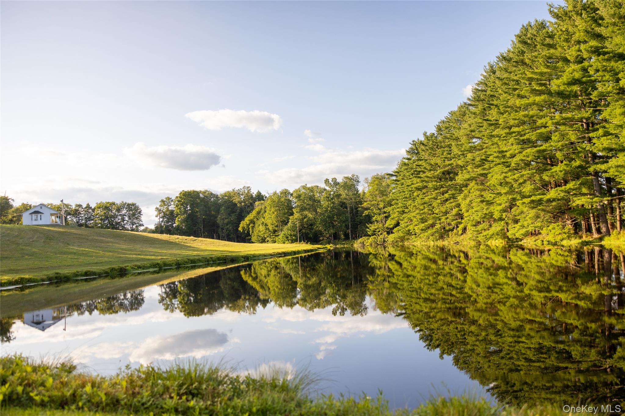49 Crumley Van Vactor Road – For Sale photo 12