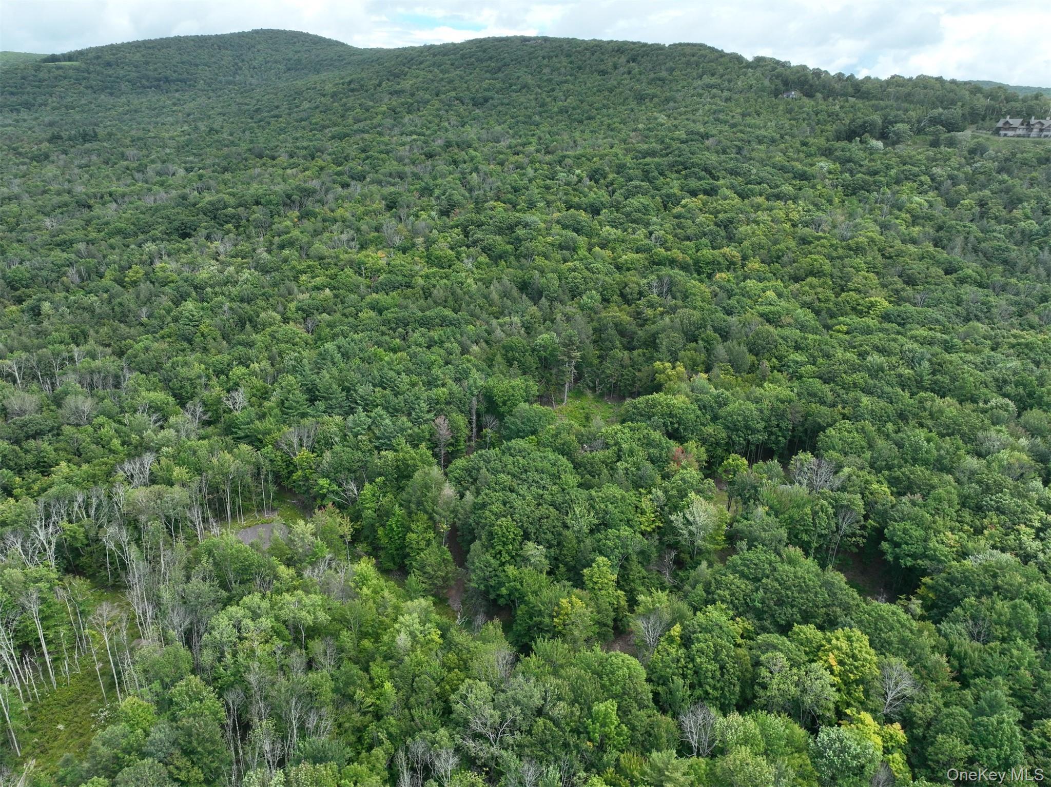 TBD Boulder Brook lot B14 Road – For Sale photo 46