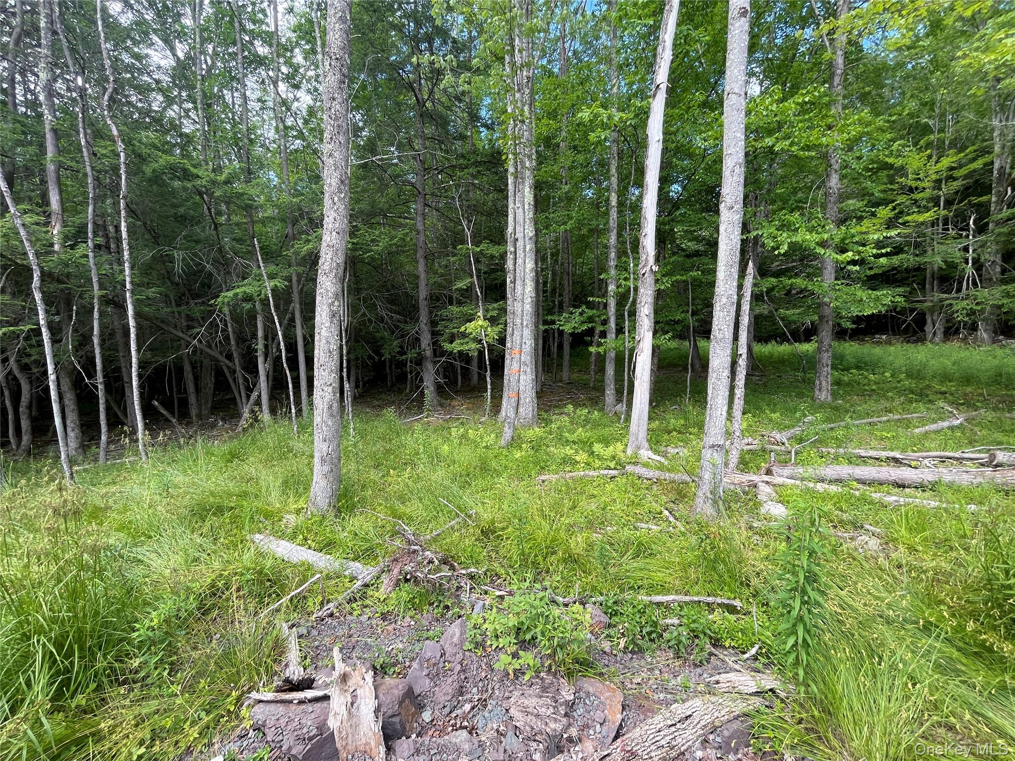 TBD Boulder Brook lot B14 Road – For Sale photo 3