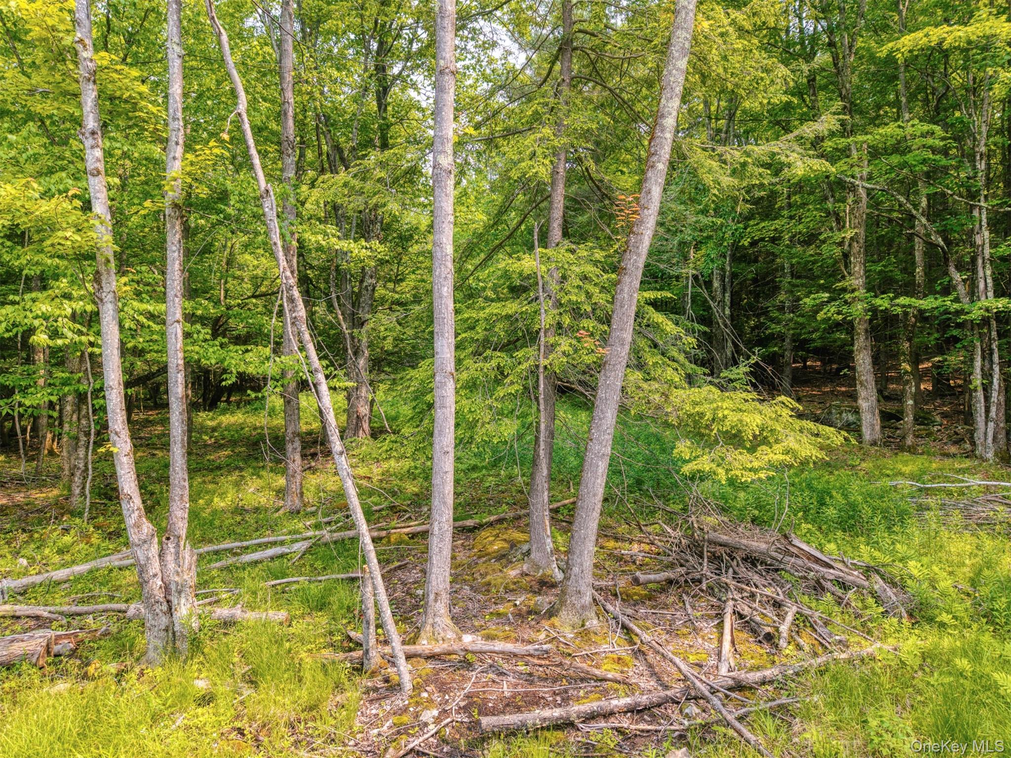 TBD Boulder Brook lot B14 Road – For Sale photo 5