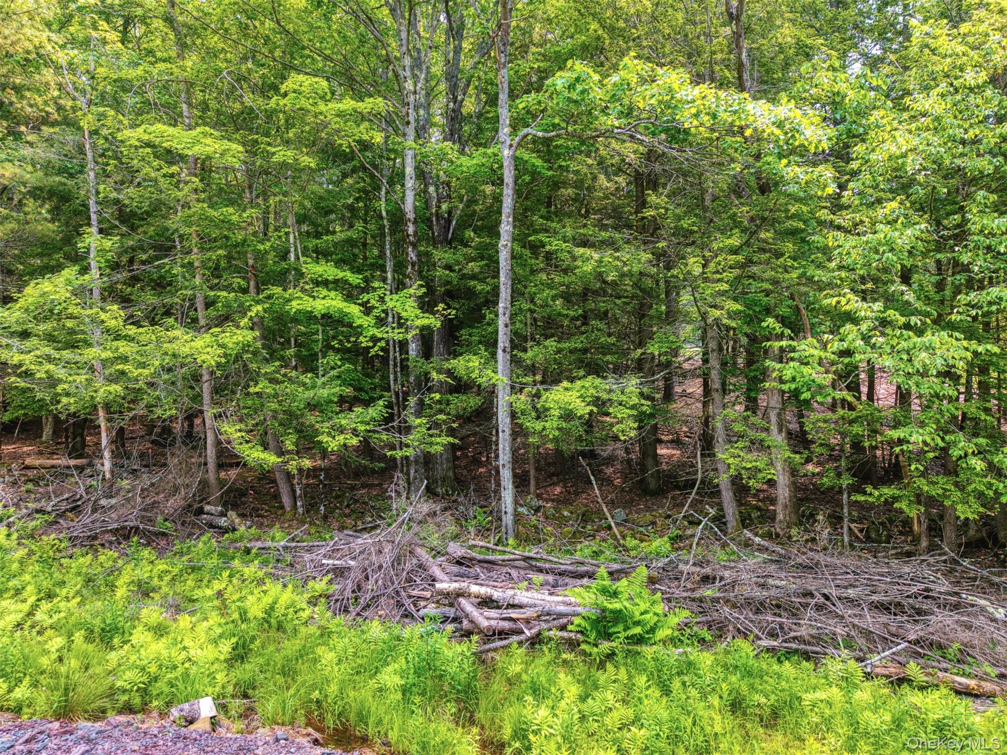 TBD Boulder Brook lot B14 Road – For Sale photo 4