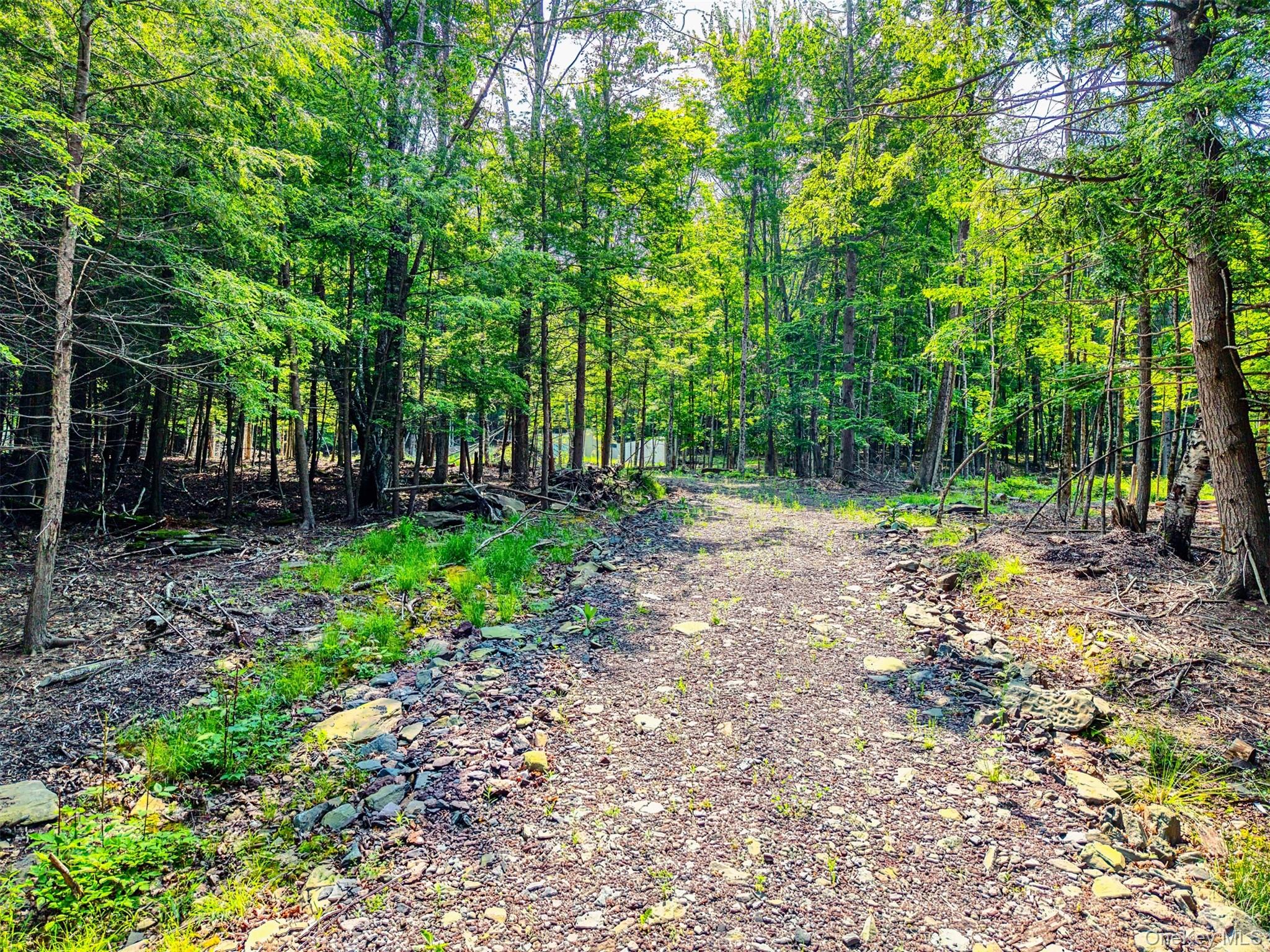 TBD Boulder Brook lot B14 Road – For Sale photo 28