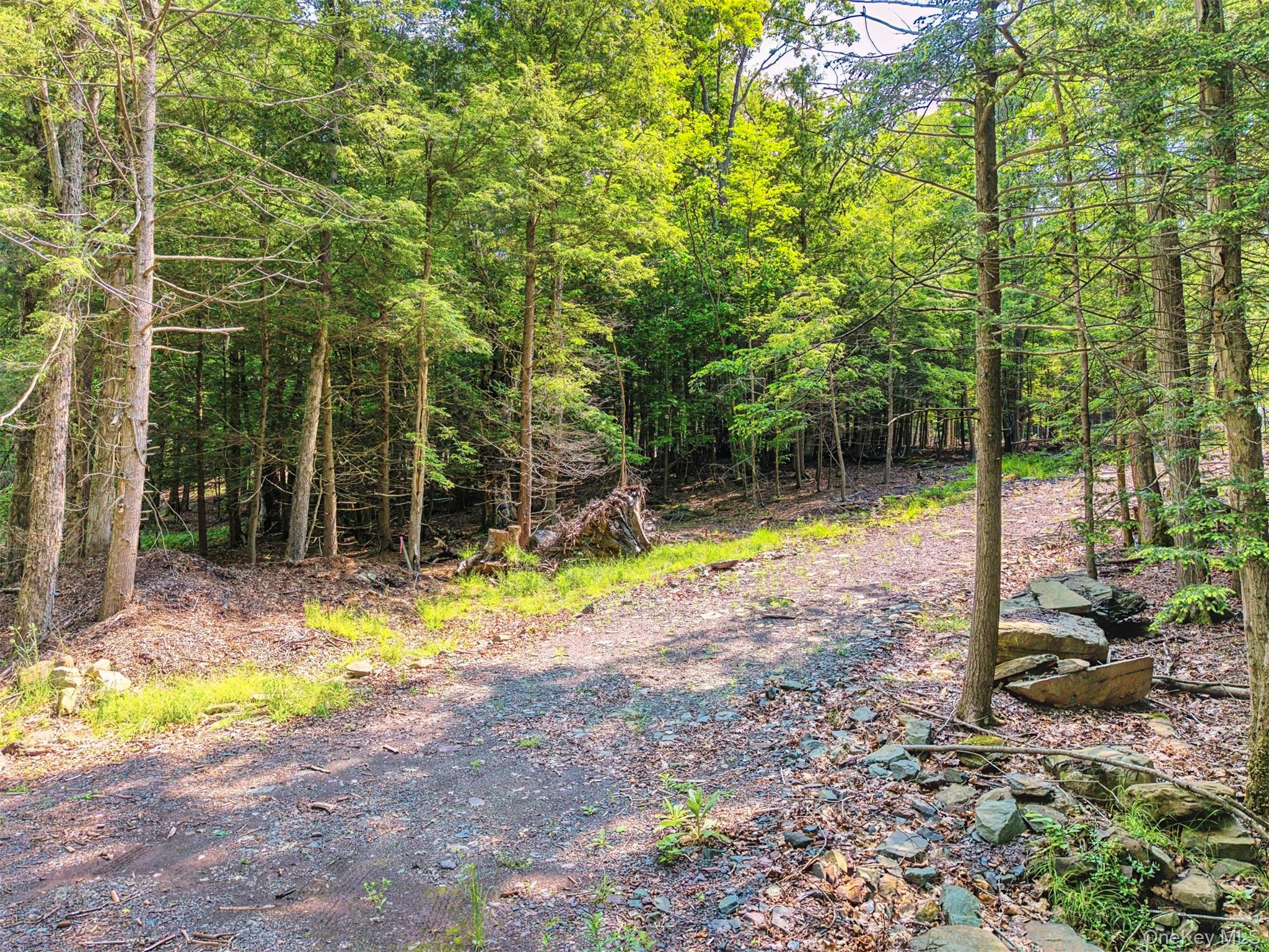 TBD Boulder Brook lot B14 Road – For Sale photo 27