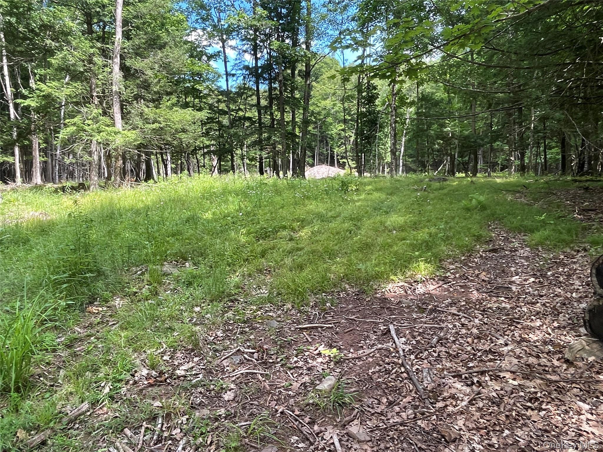 TBD Boulder Brook lot B12 Road – For Sale photo 8