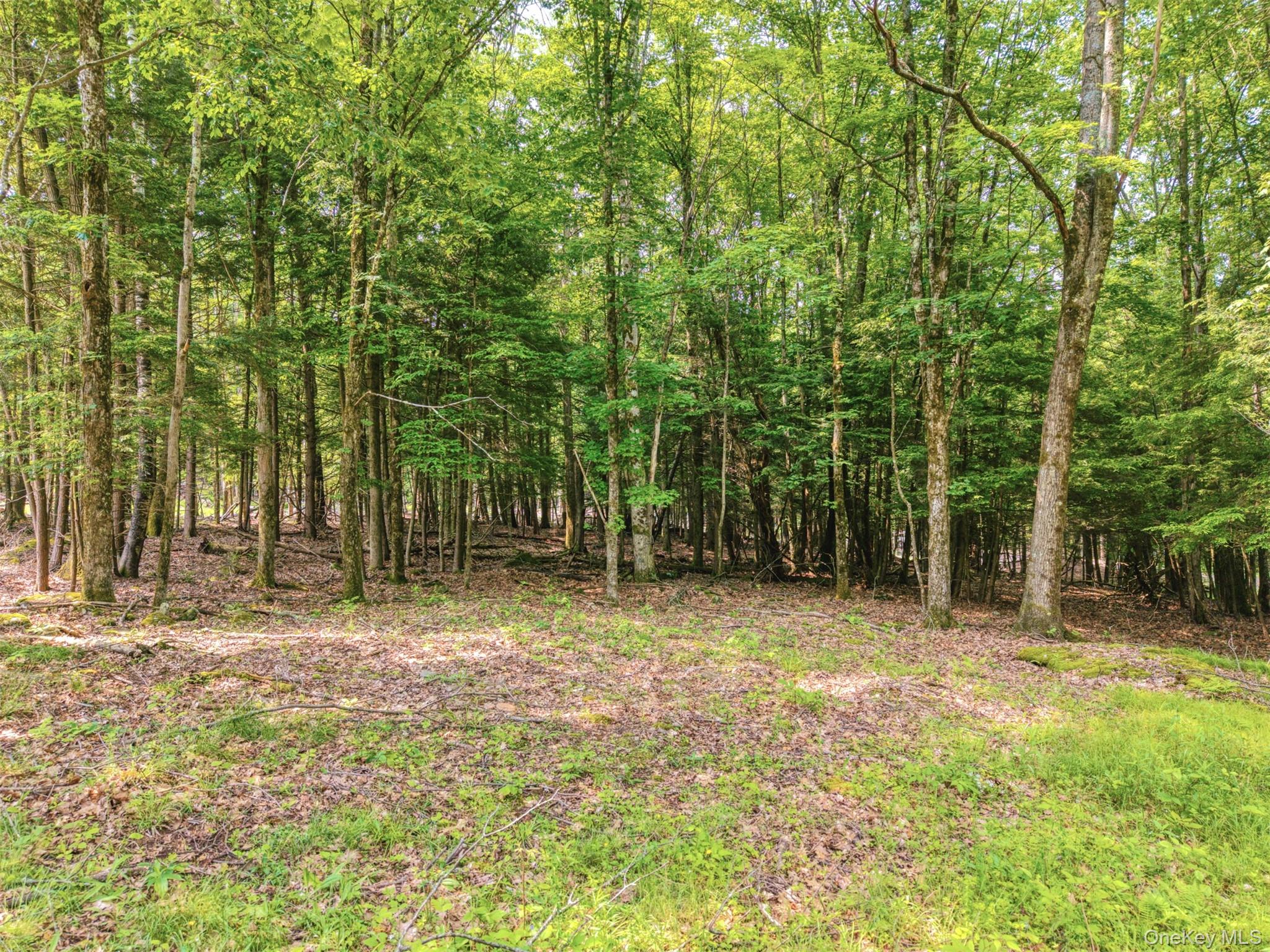 TBD Boulder Brook lot B12 Road – For Sale photo 9