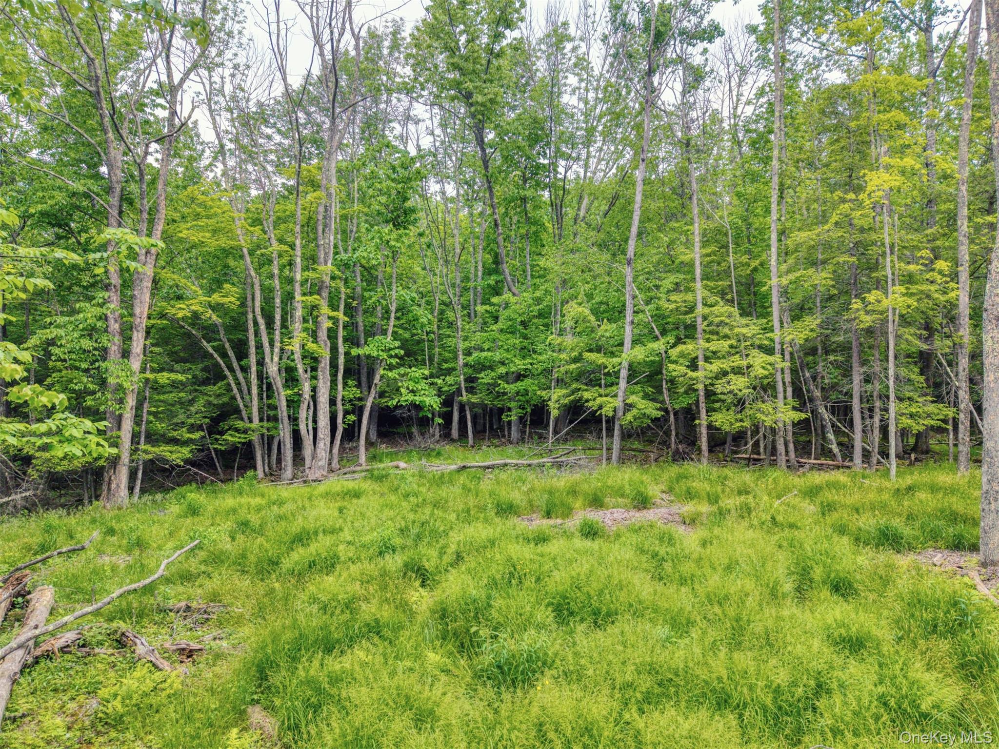TBD Boulder Brook lot B12 Road – For Sale photo 7