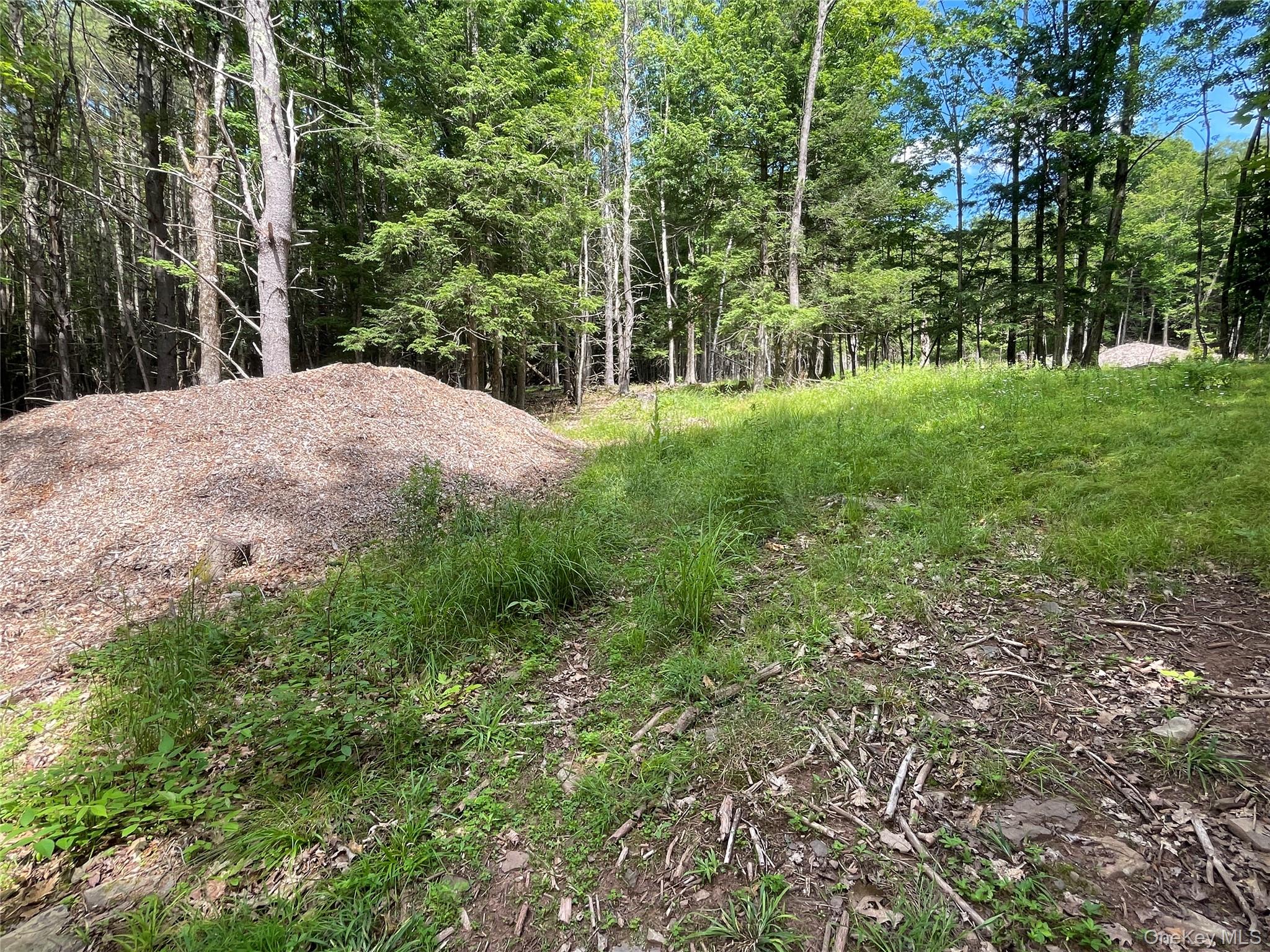 TBD Boulder Brook lot B12 Road – For Sale photo 4